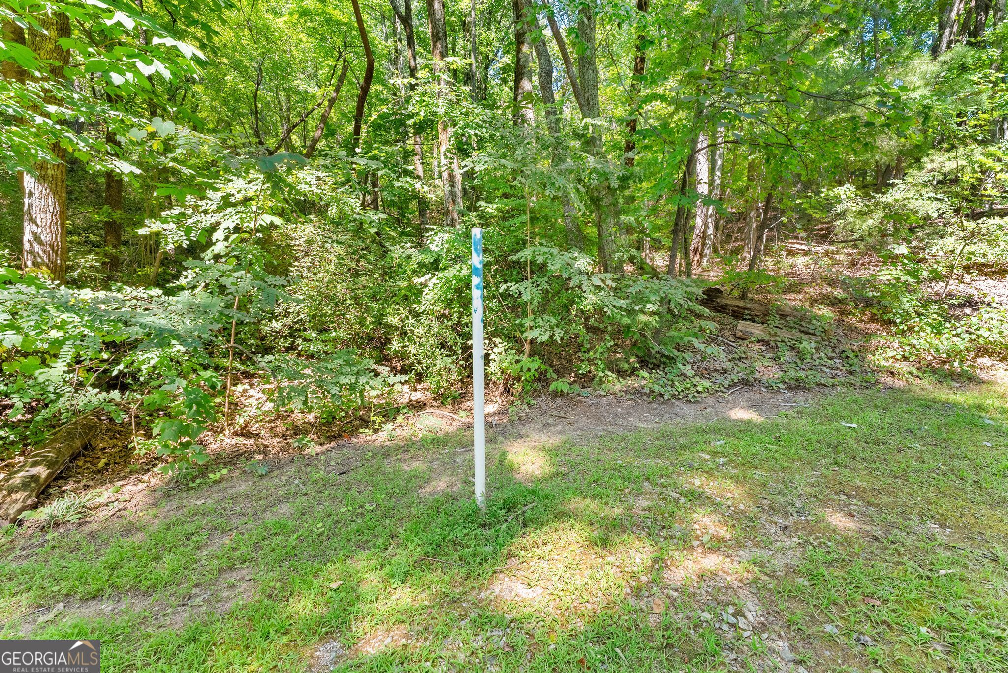 0 Raspberry Lane # 1502 Property Photo 8