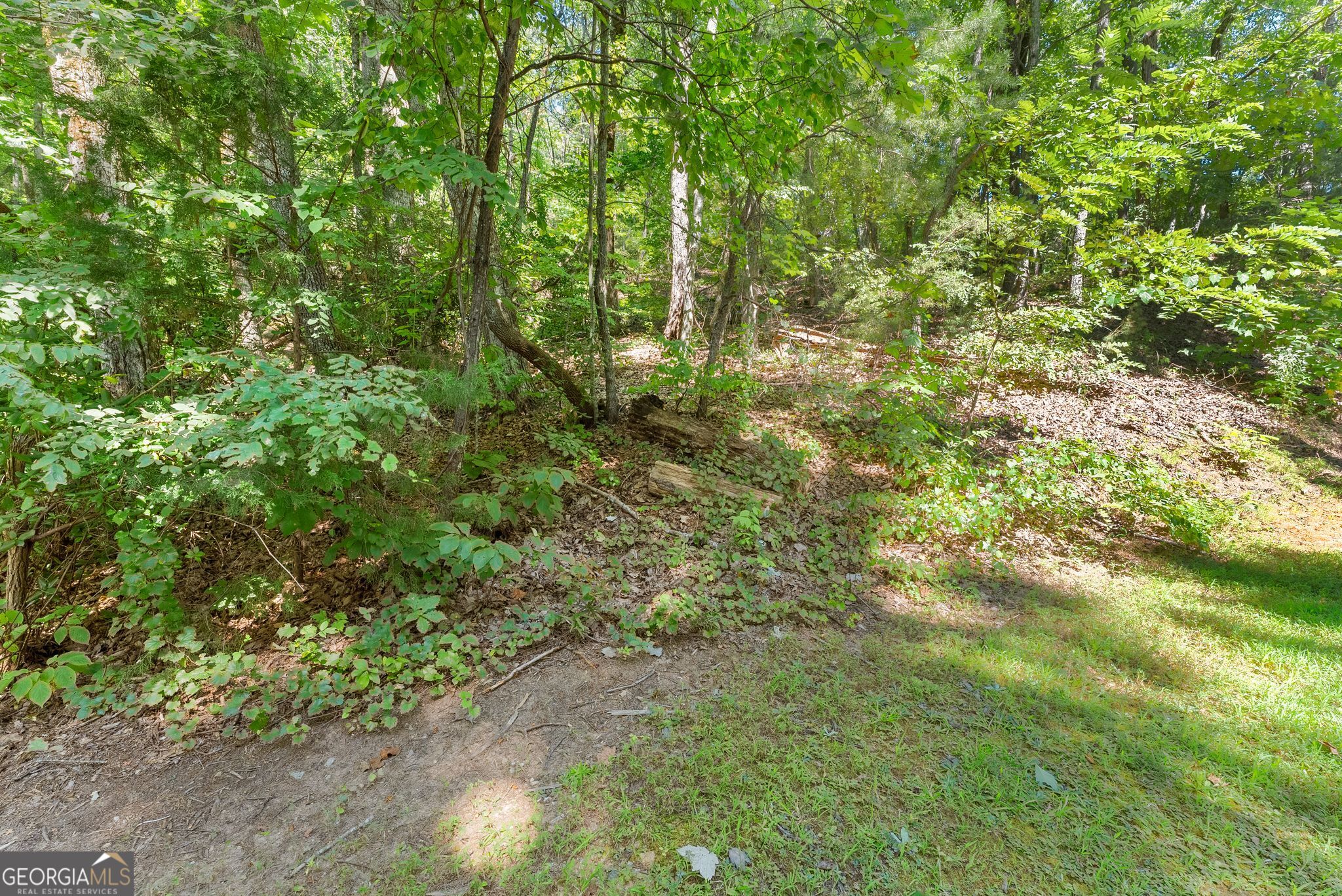 0 Raspberry Lane # 1502 Property Photo 9