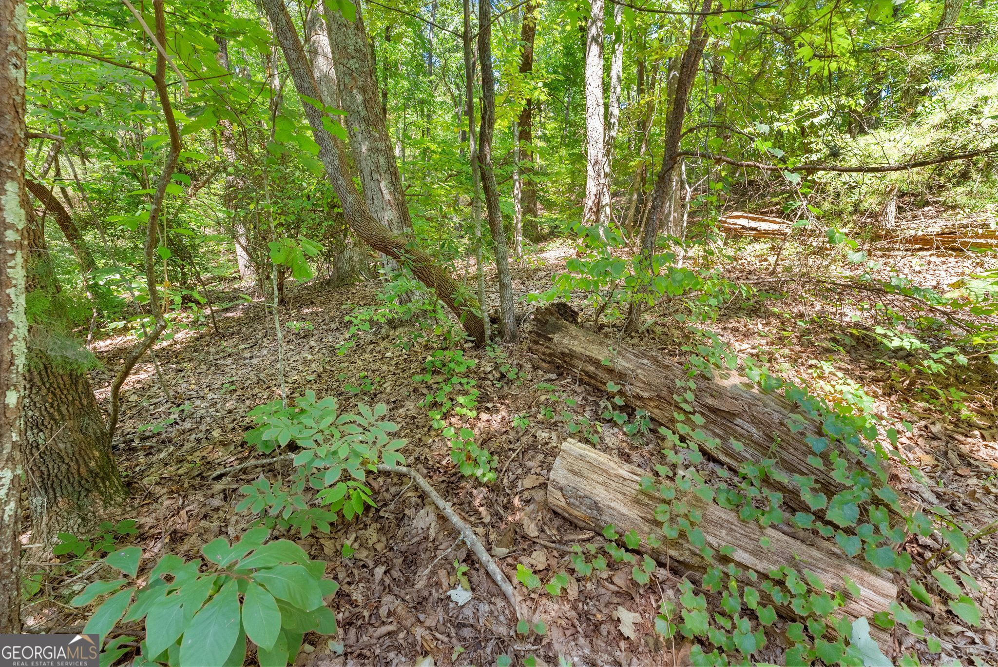 0 Raspberry Lane # 1502 Property Photo 10