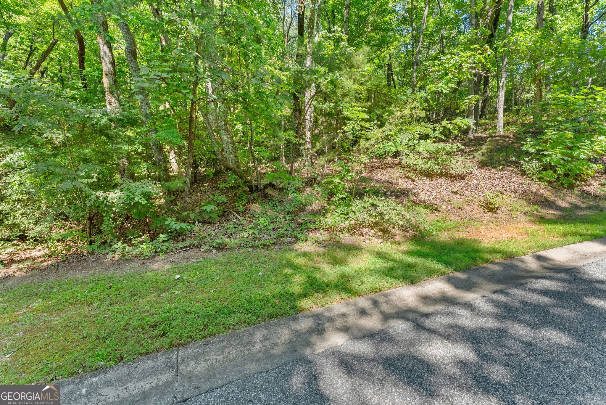 0 Raspberry Lane # 1502 Property Photo 11