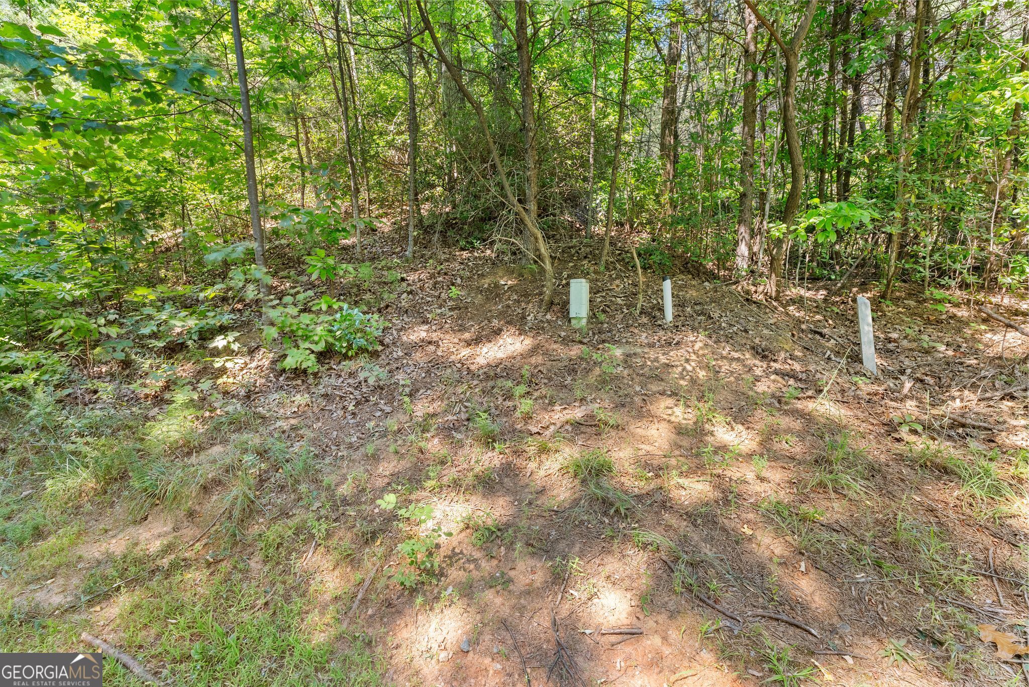0 Raspberry Lane # 1502 Property Photo 13