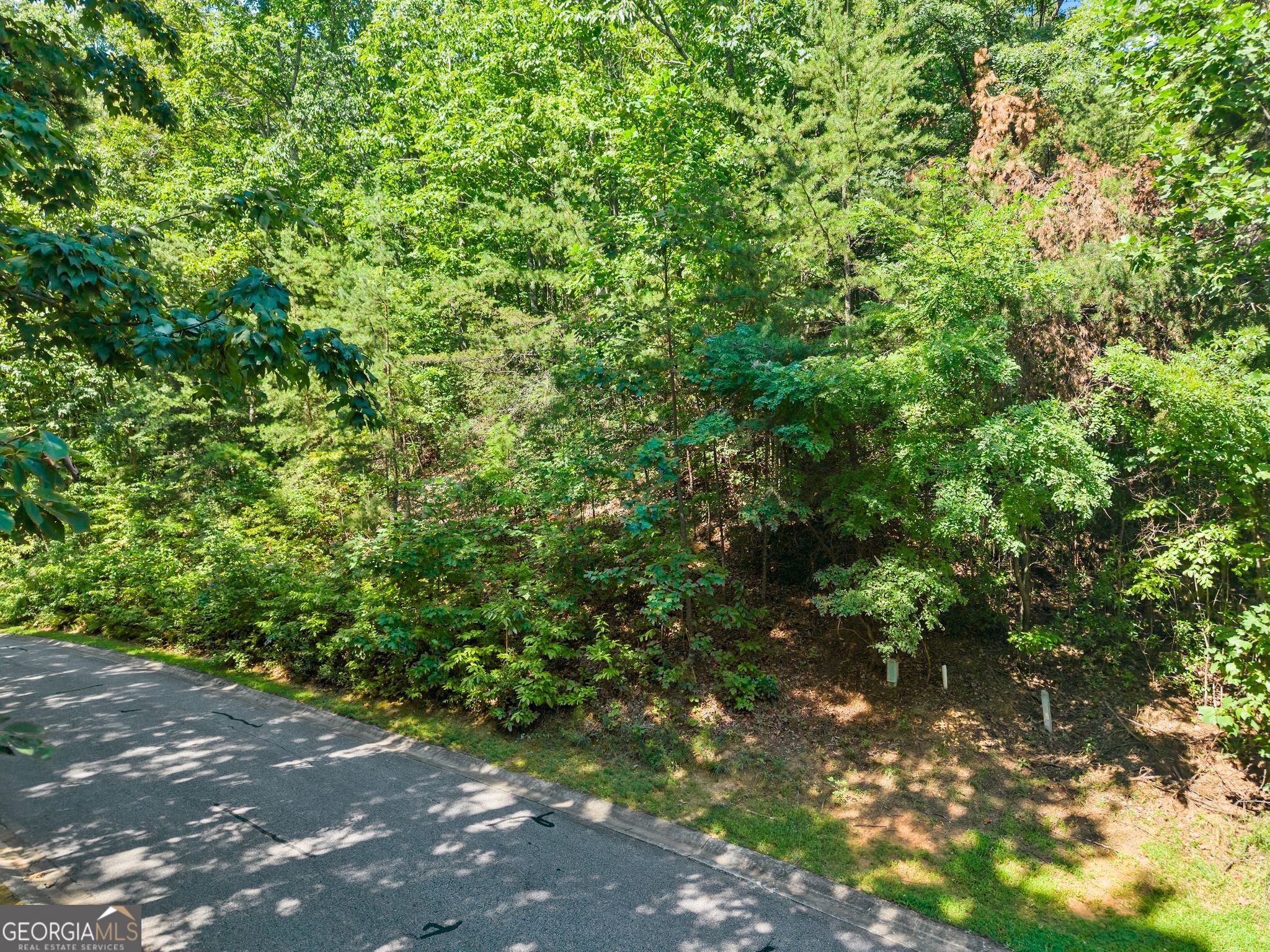 0 Raspberry Lane # 1502 Property Photo 14