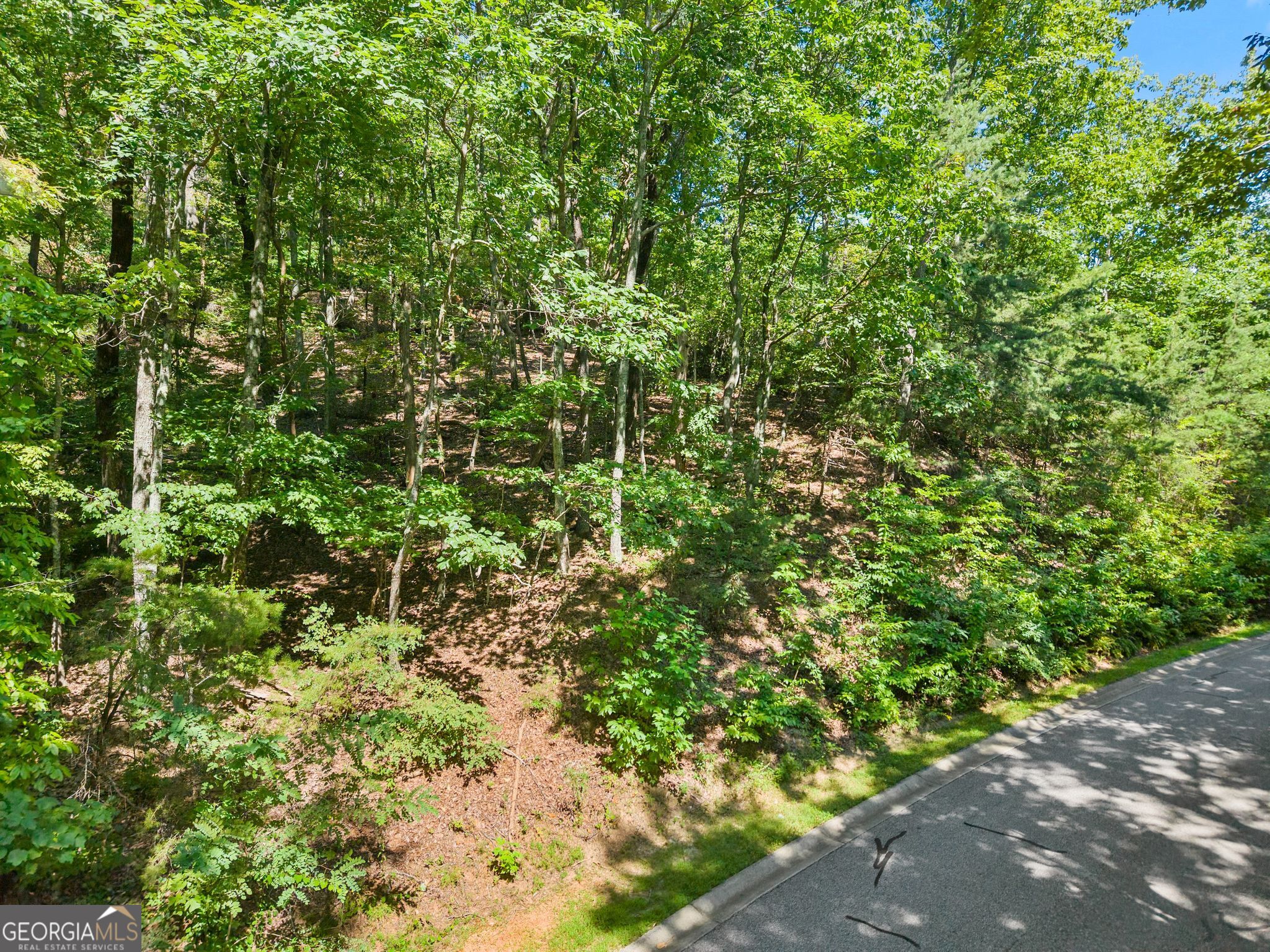 0 Raspberry Lane # 1502 Property Photo 15