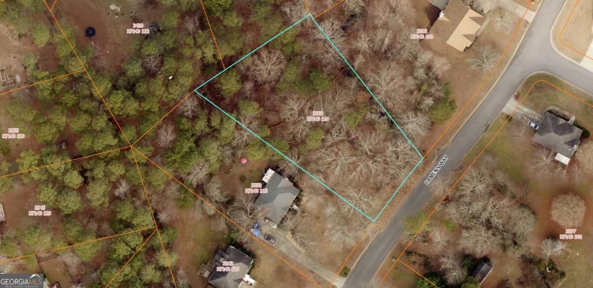 3262 Camens Way Property Photo 1