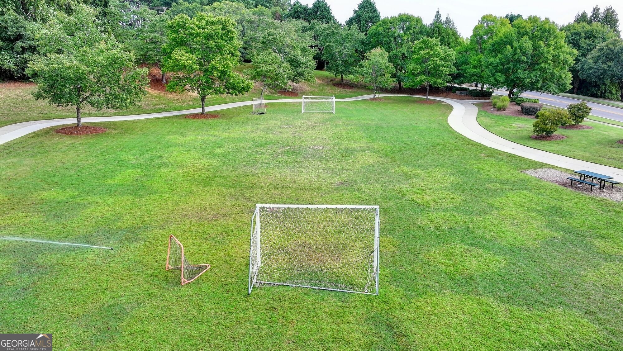 2213 Hamilton Mill Parkway Property Photo 88