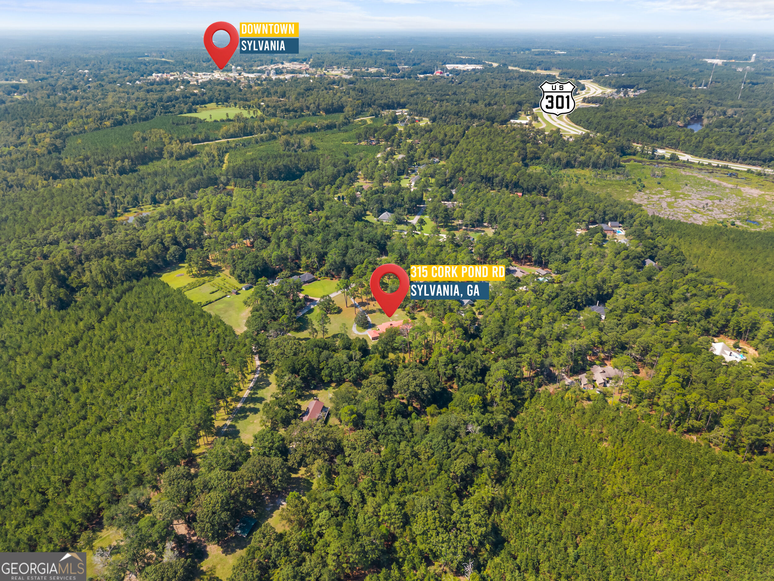 315 Cork Pond Road Property Photo 4