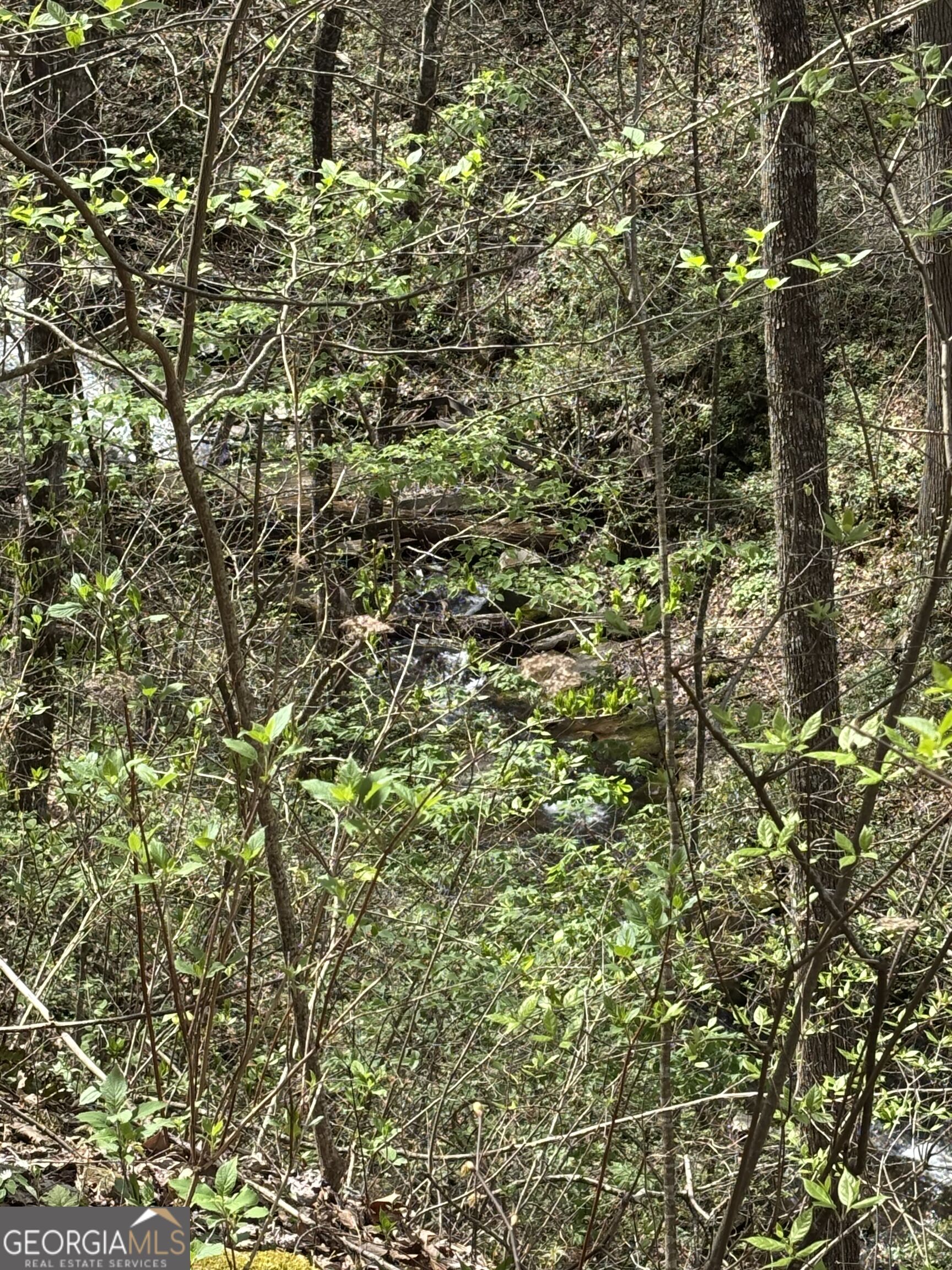 0 Laurel Branch