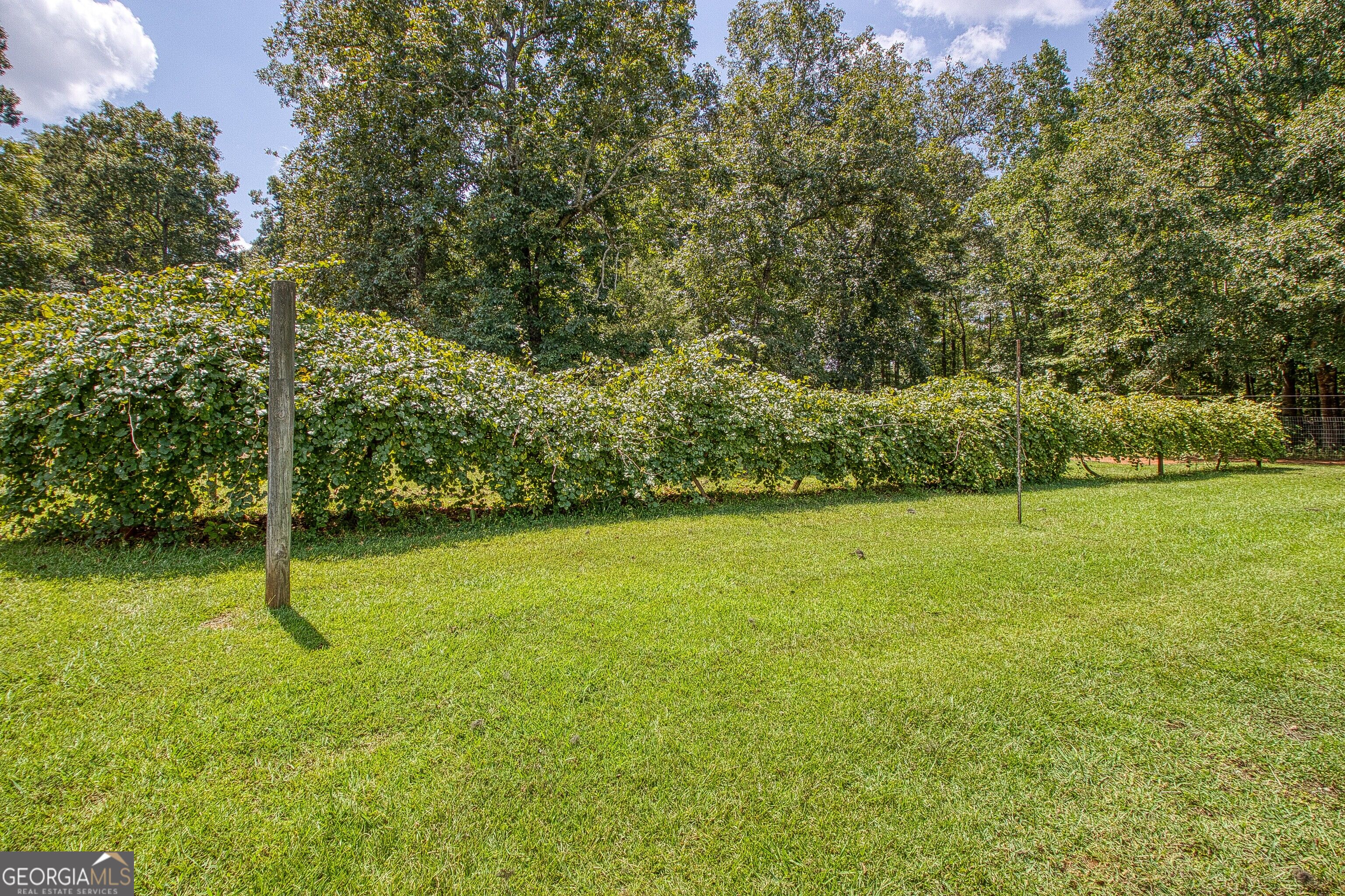 792 Fincher Road Property Photo 82