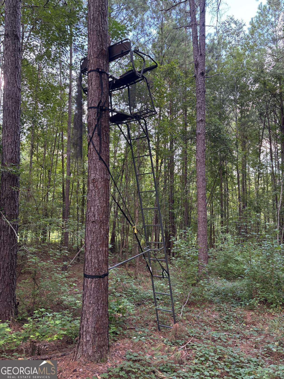 873 Oconee Forest Road Property Photo 31