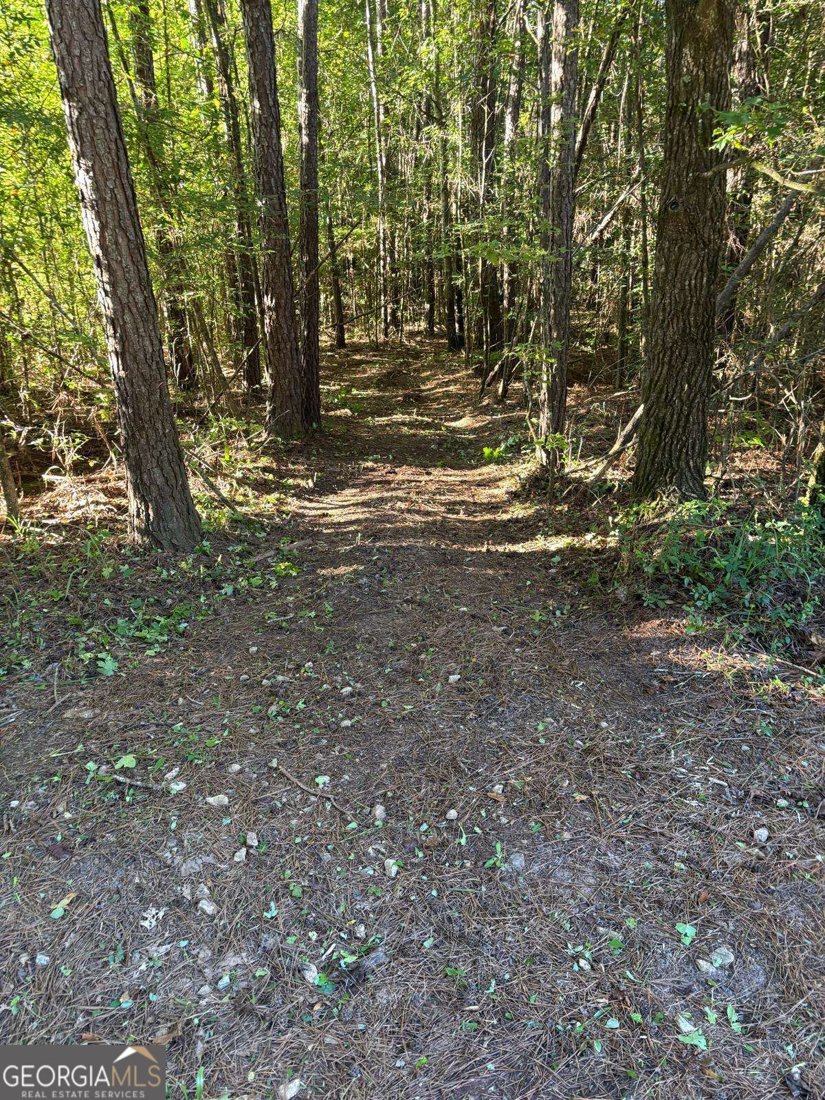 873 Oconee Forest Road Property Photo 32