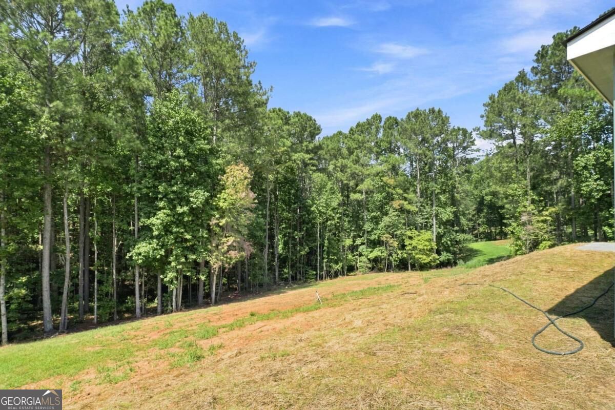 381 Bethel Road Property Photo 49