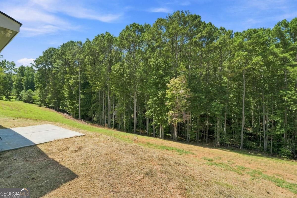 381 Bethel Road Property Photo 50