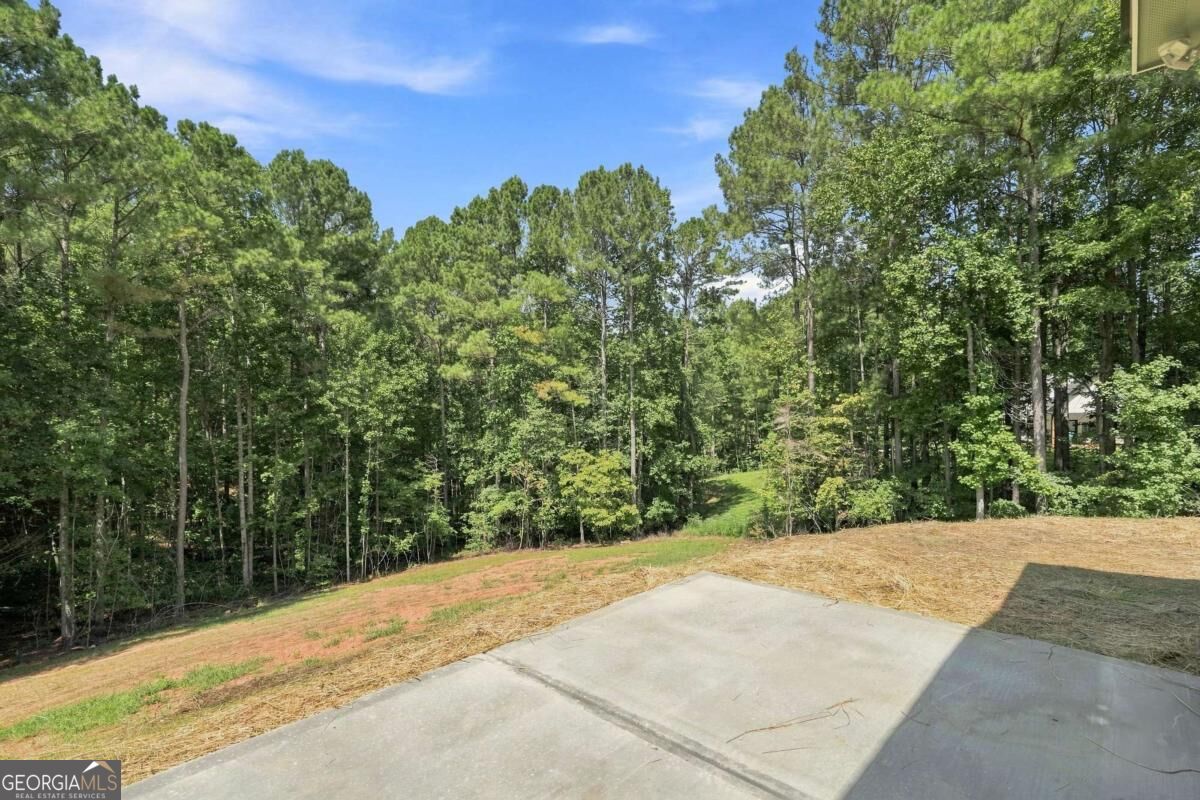 381 Bethel Road Property Photo 52