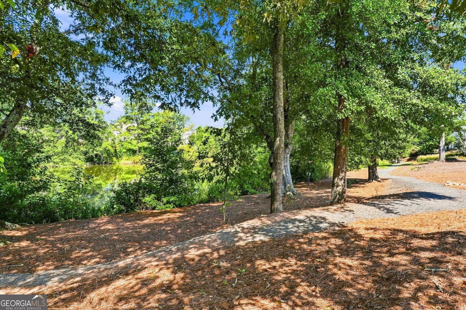 329 Mcdaniel Place Property Photo 63
