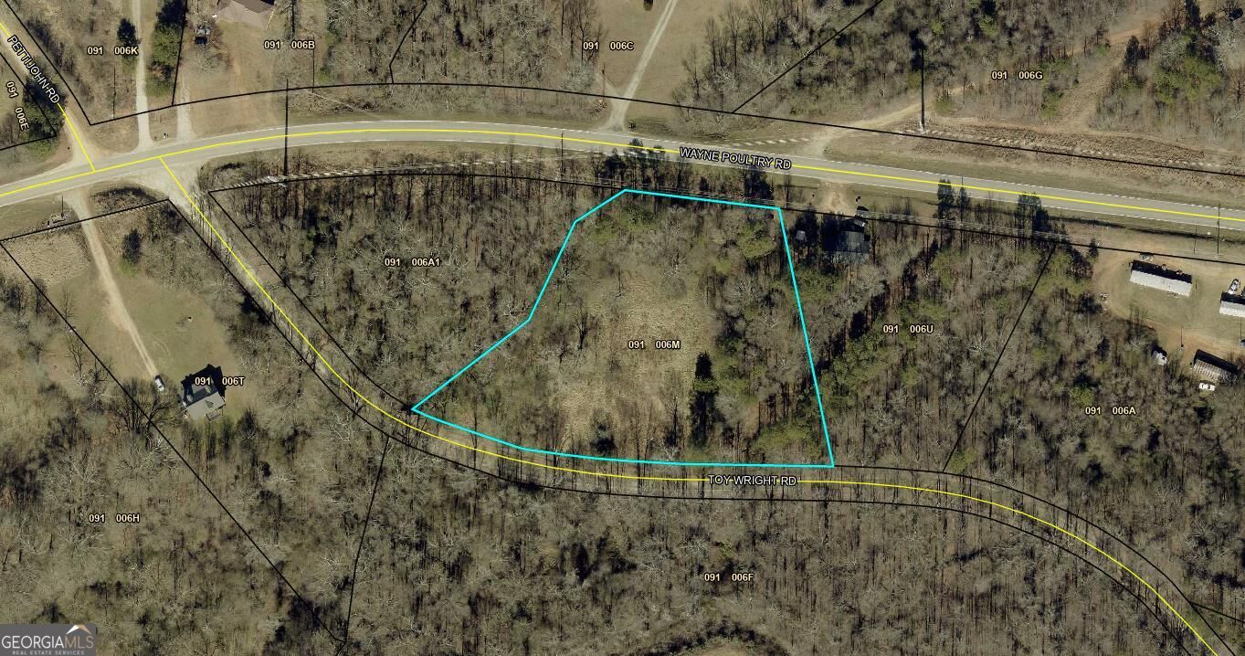 0 Wayne Poultry Road Property Photo 4