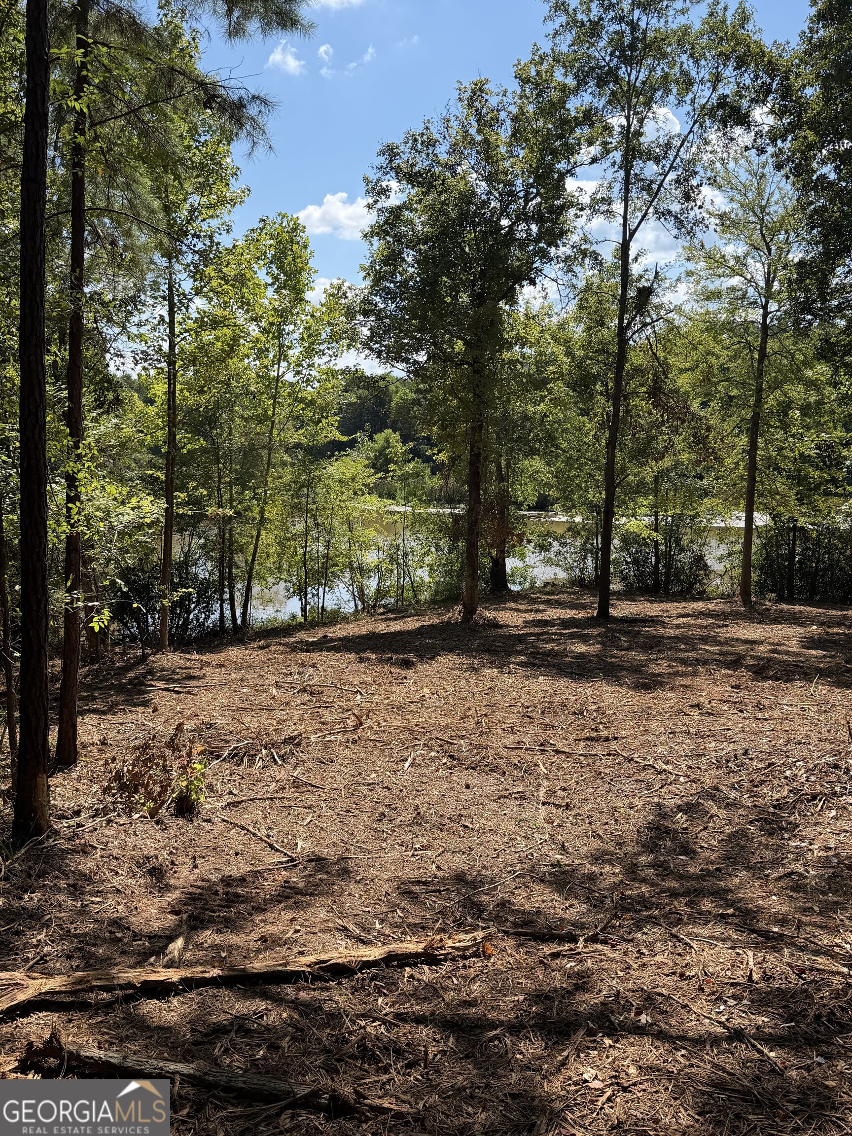 147 Edgewater Drive Property Photo 4