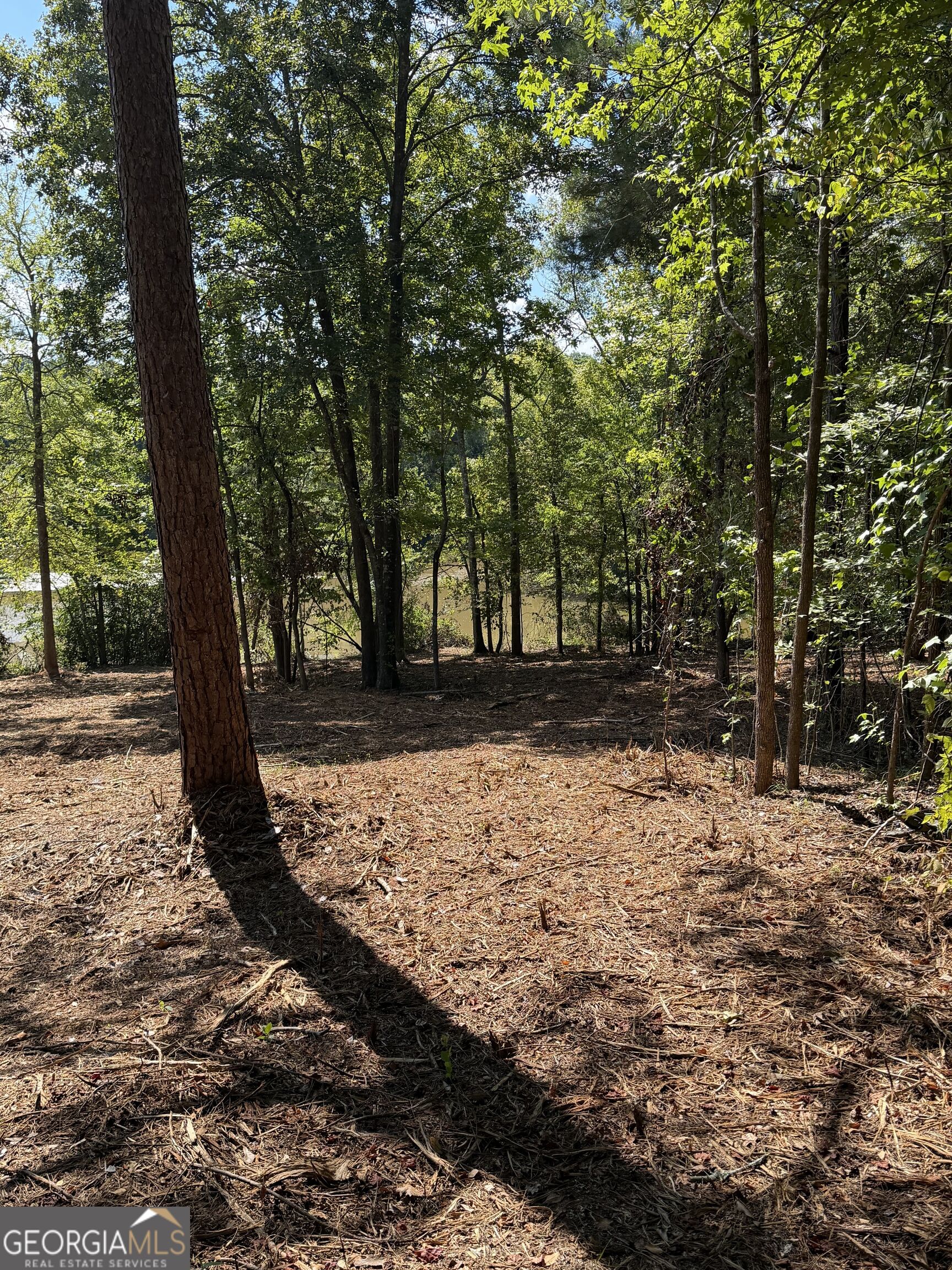 147 Edgewater Drive Property Photo 5
