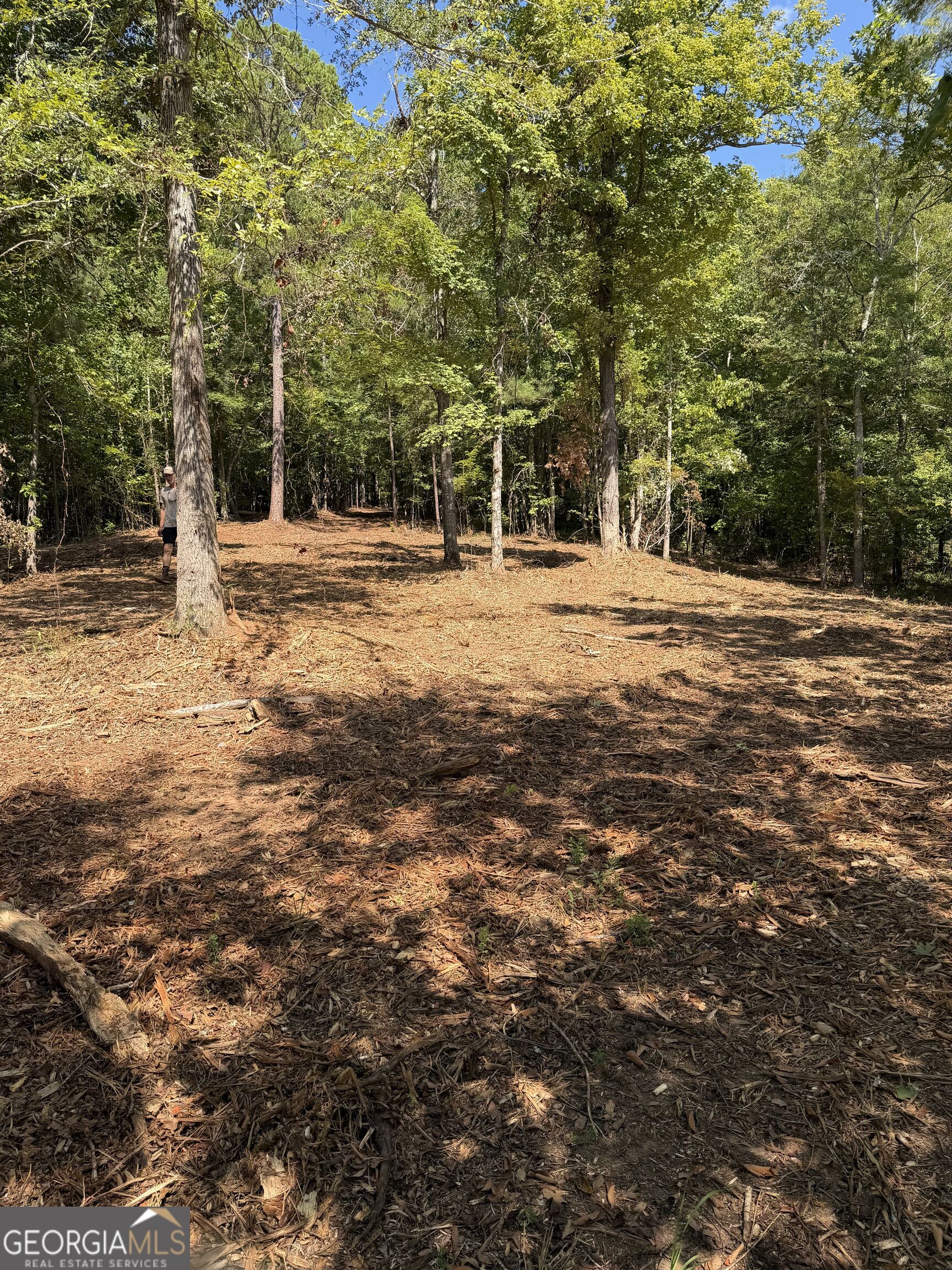 147 Edgewater Drive Property Photo 9
