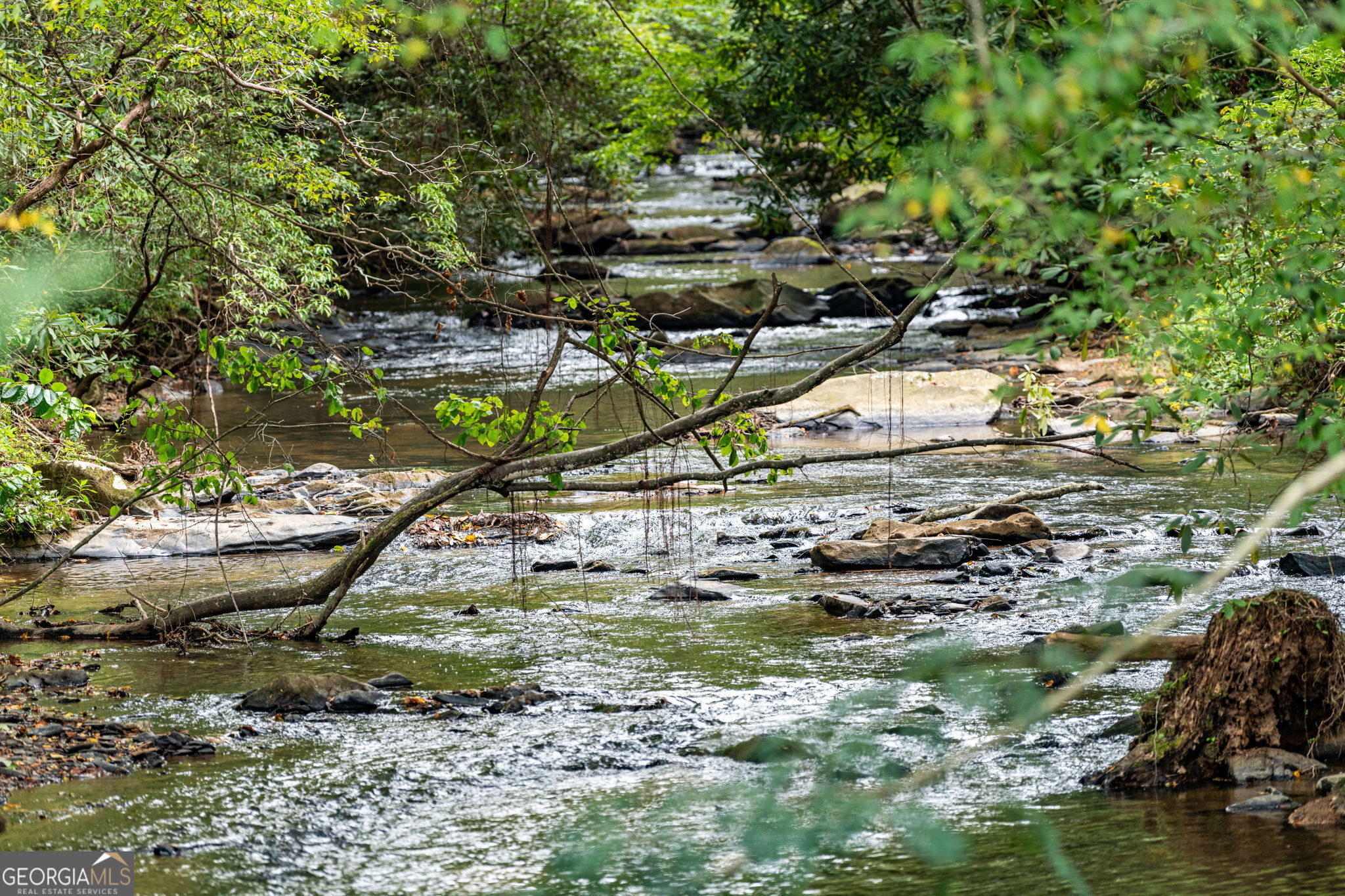 235 W Conasauga Creek Property Photo 8