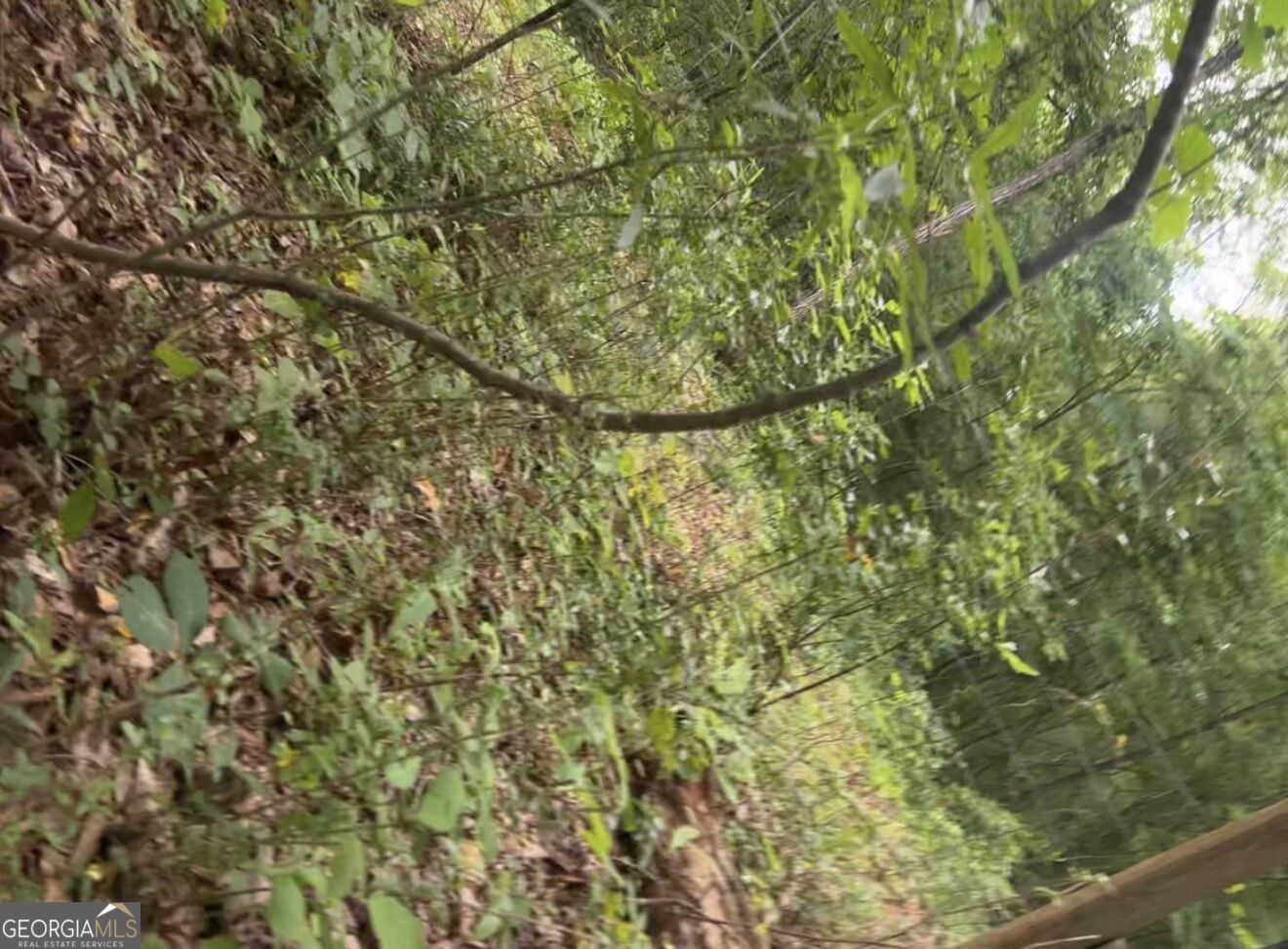 0 Edna Circle Property Photo 2