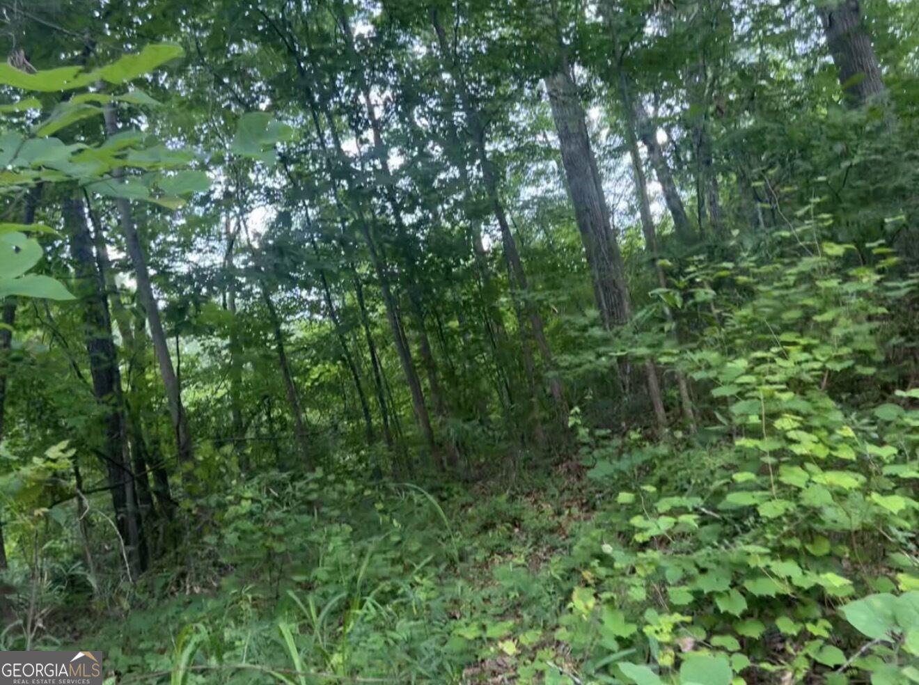 0 Edna Circle Property Photo 3