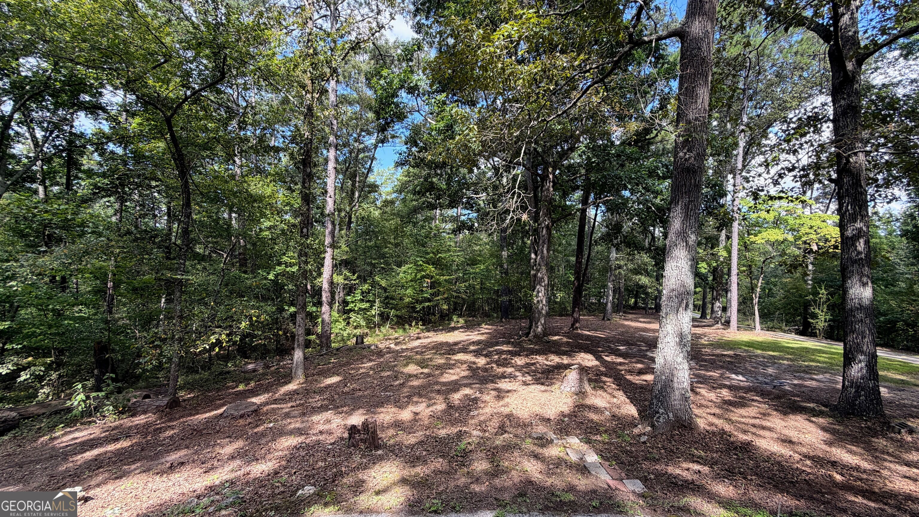 6451 Us Hwy 78 W Property Photo 47