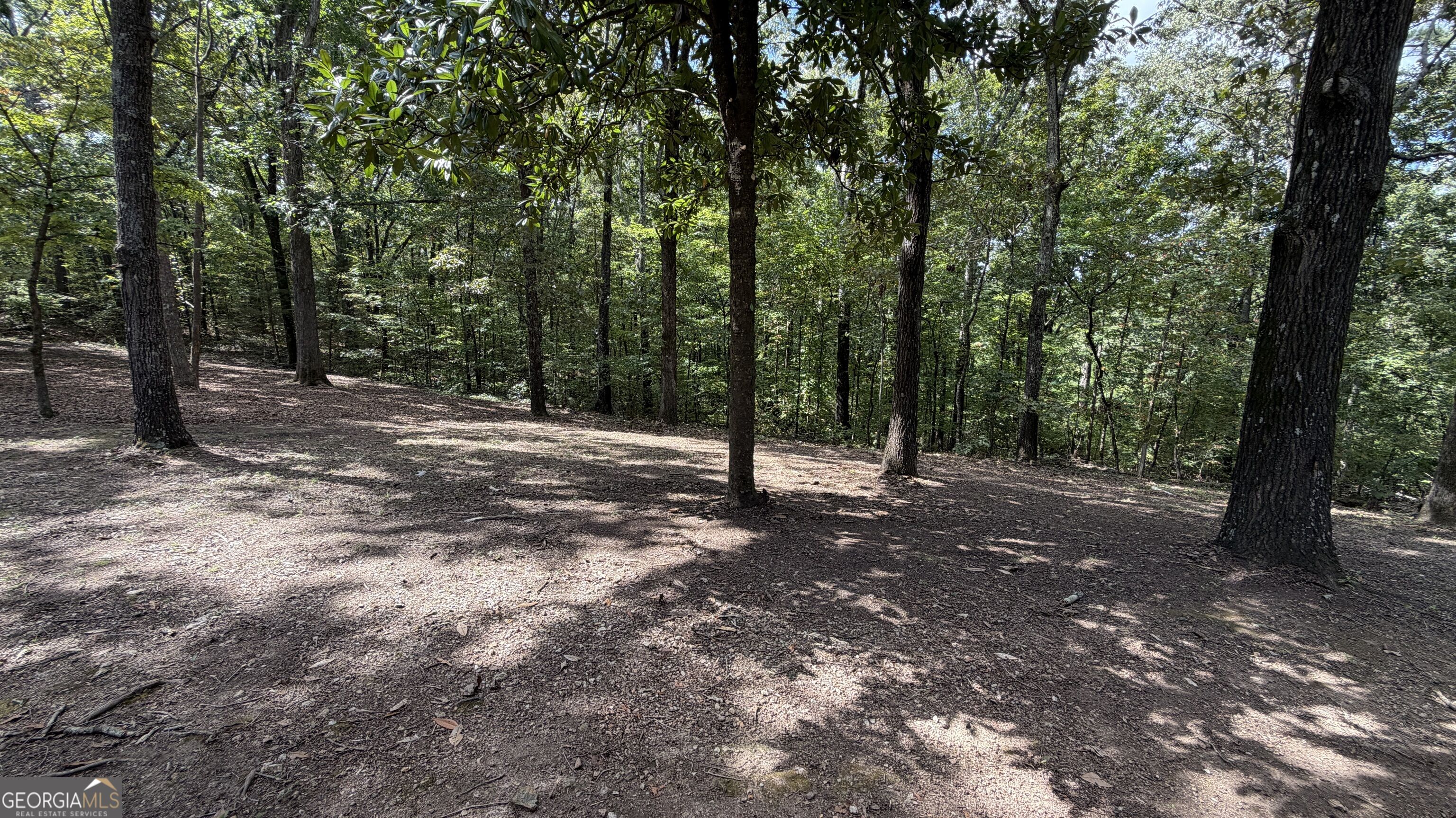 6451 Us Hwy 78 W Property Photo 48