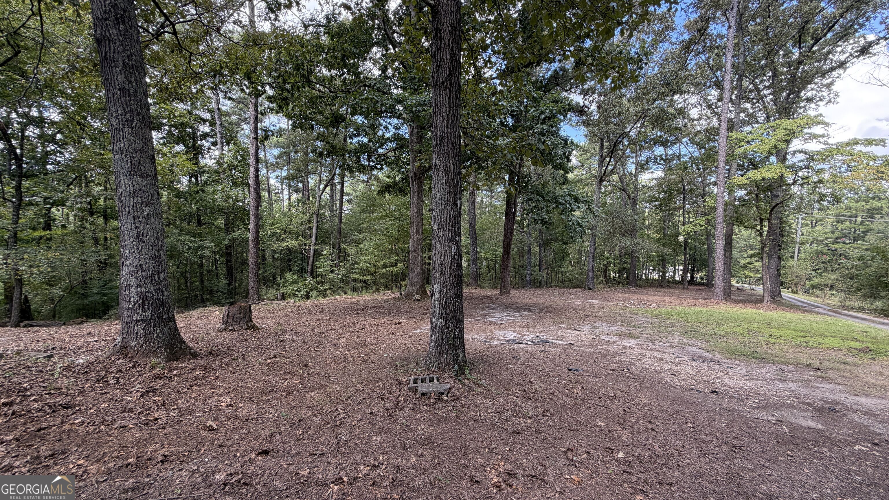 6451 Us Hwy 78 W Property Photo 49