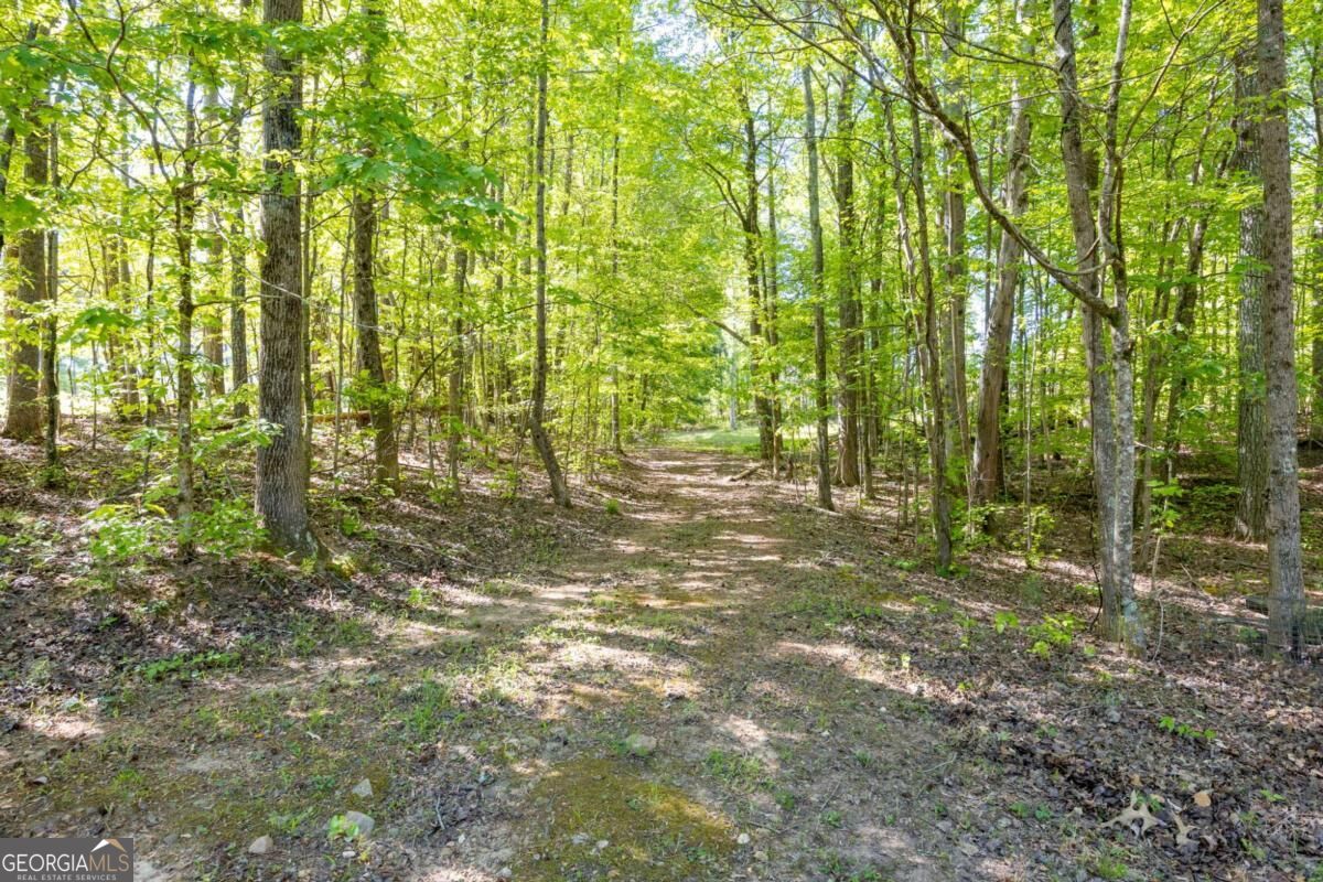 8277 Buchanan Highway Property Photo 29