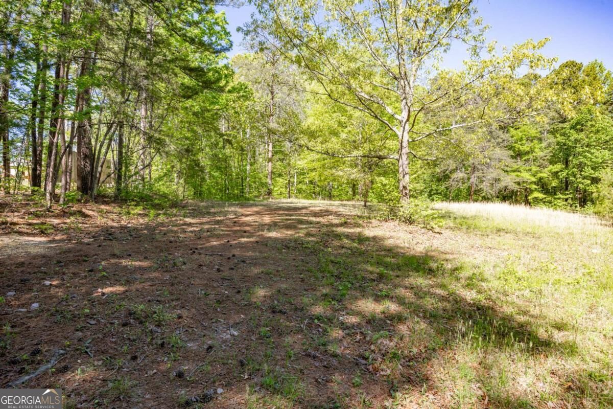8277 Buchanan Highway Property Photo 30