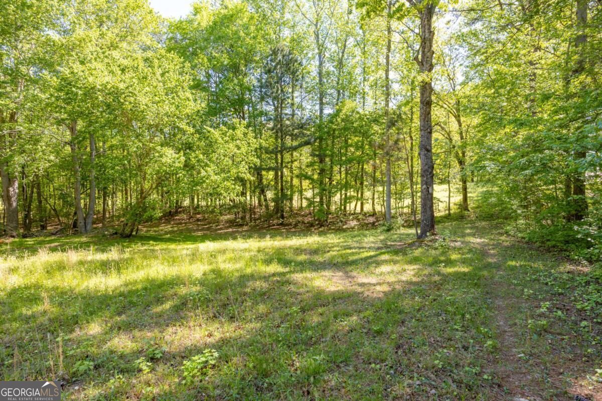 8277 Buchanan Highway Property Photo 31