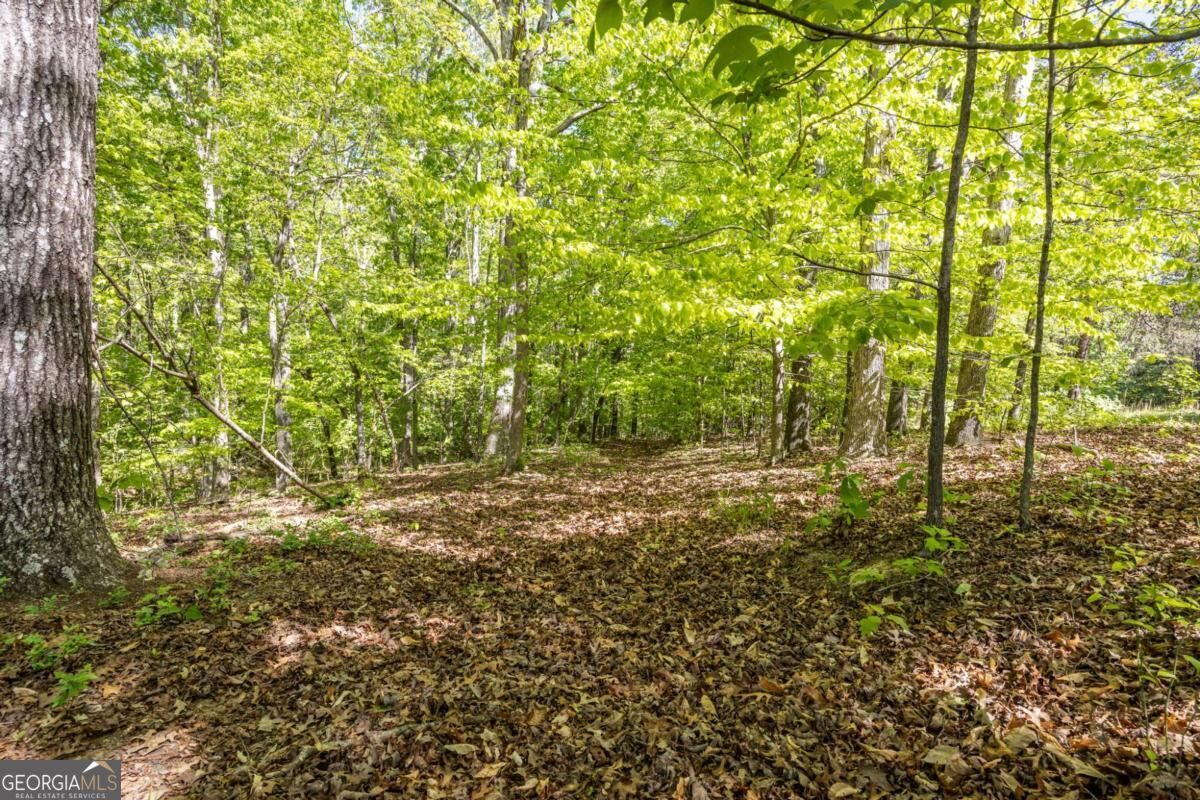 8277 Buchanan Highway Property Photo 32