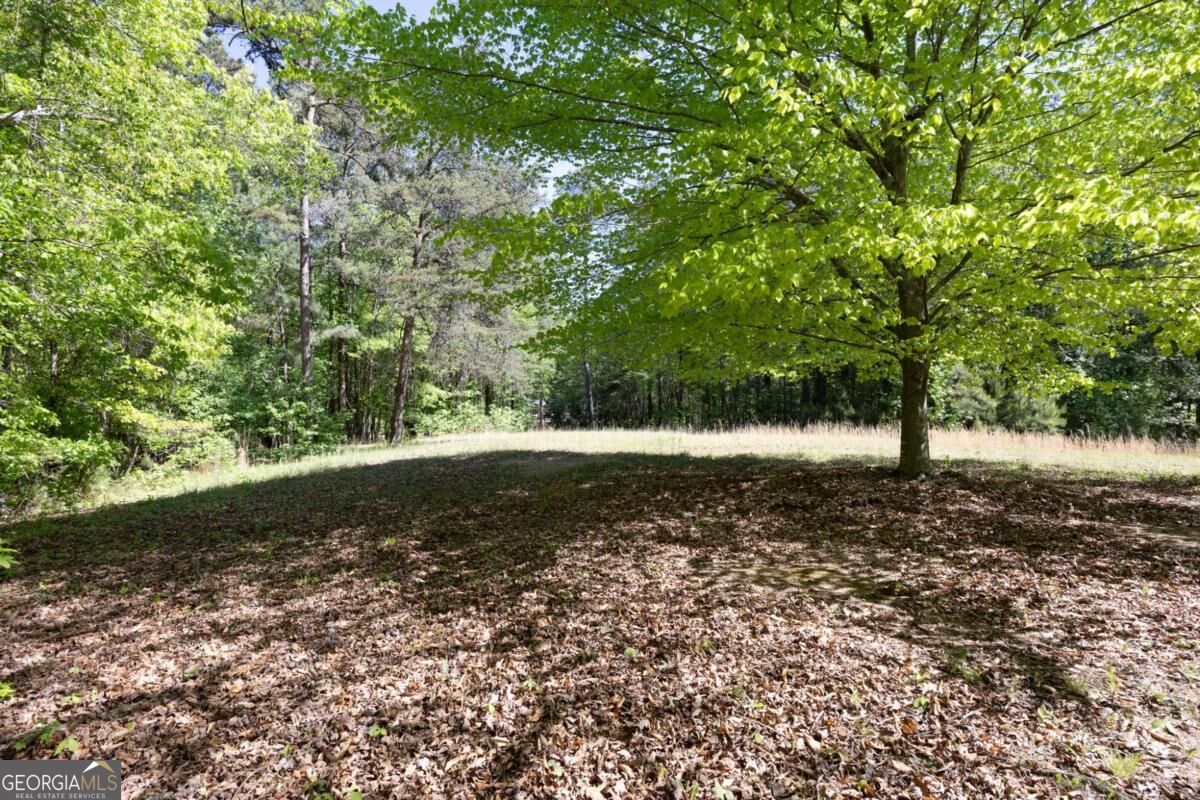 8277 Buchanan Highway Property Photo 33