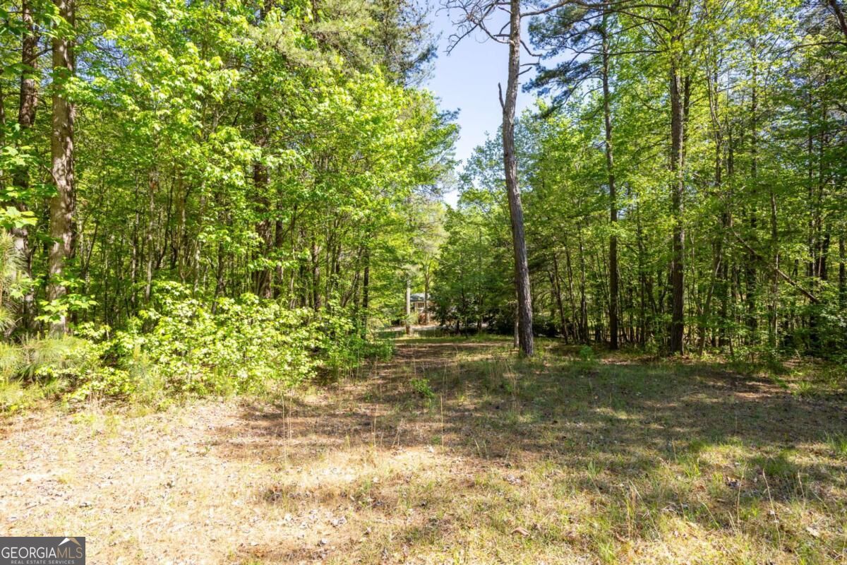 8277 Buchanan Highway Property Photo 34