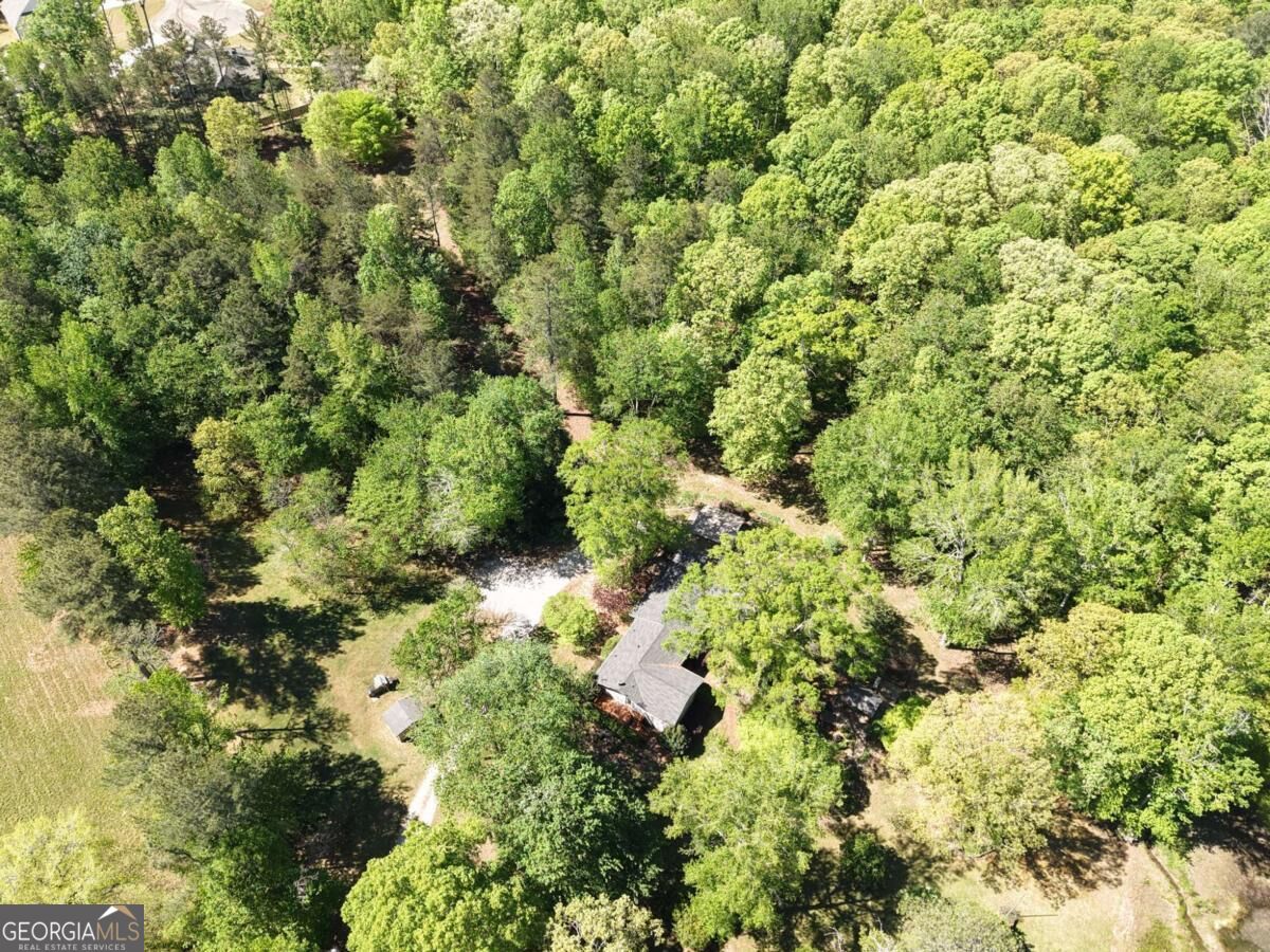 8277 Buchanan Highway Property Photo 72