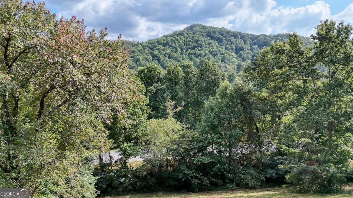 5.93 Ac Hwy 64 Property Photo 3