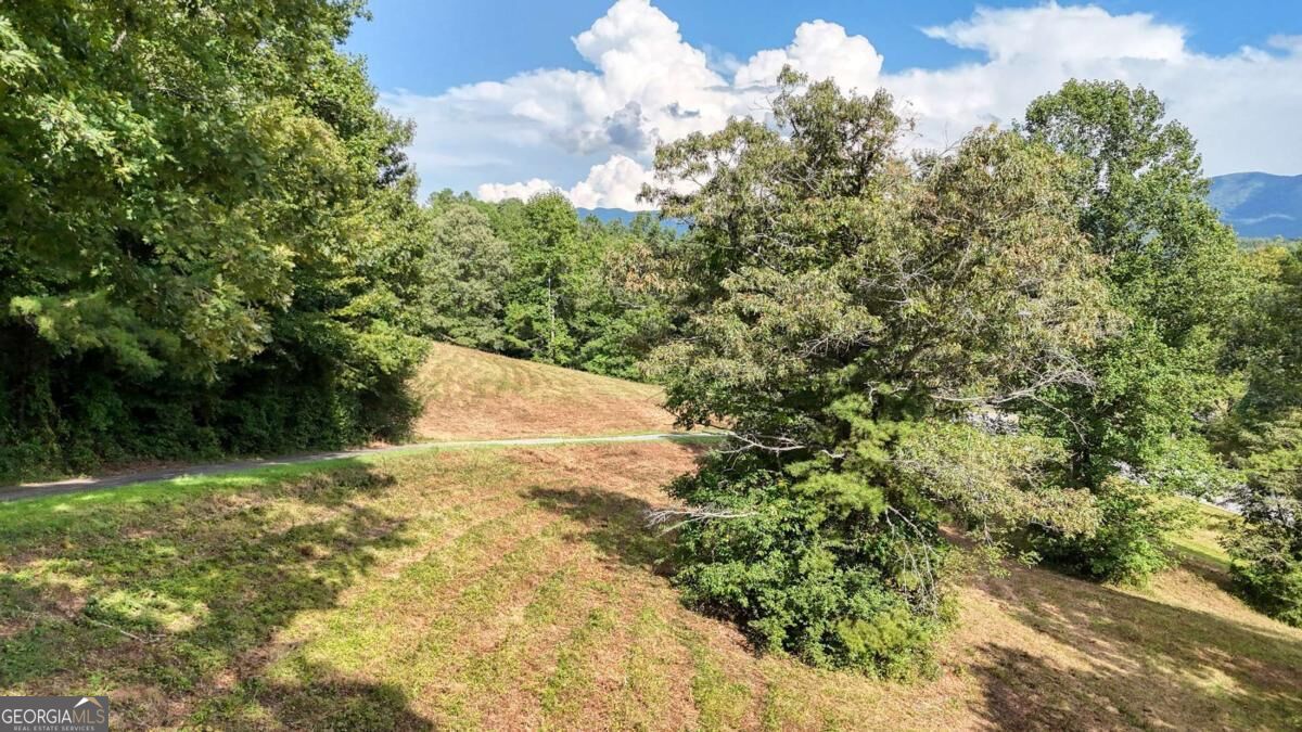 5.93 Ac Hwy 64 Property Photo 9