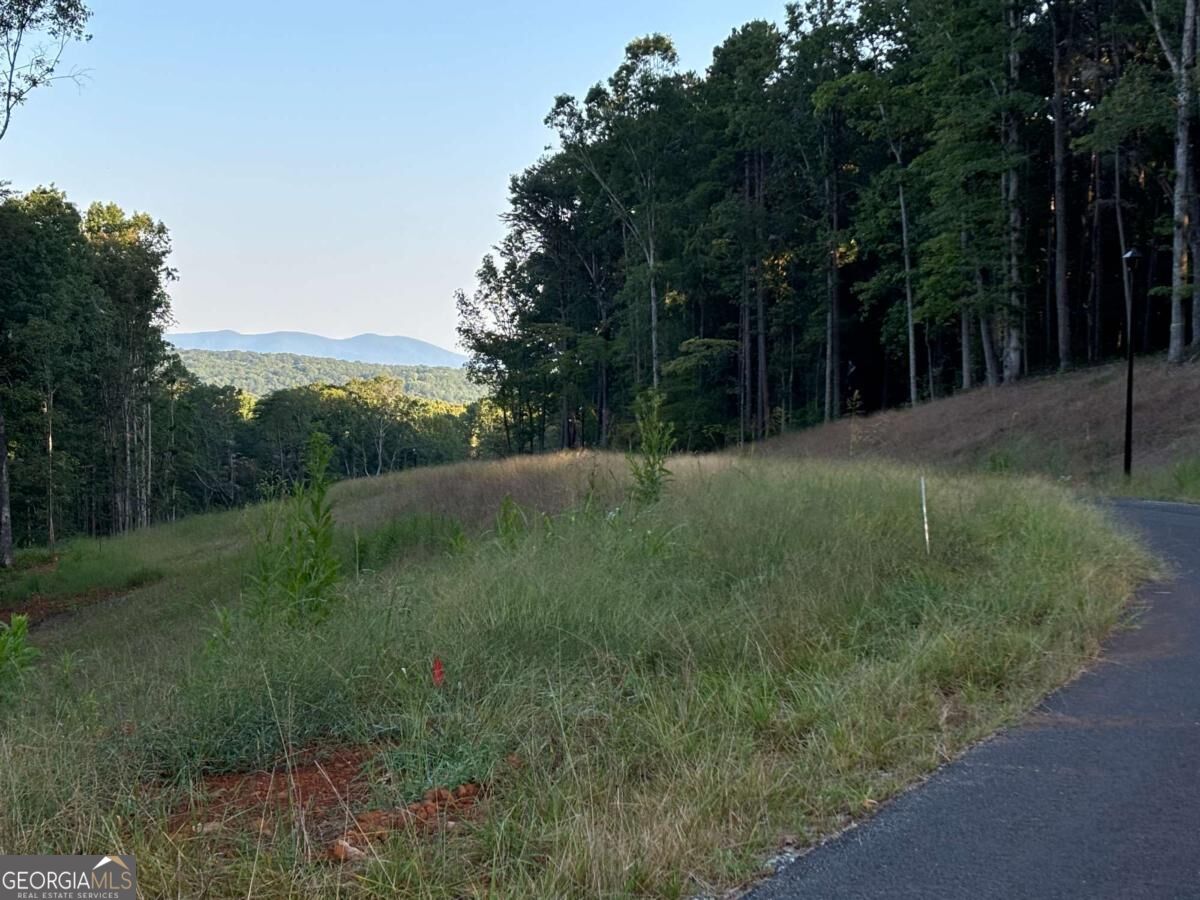Lot 28 Norton Lane Property Photo 17
