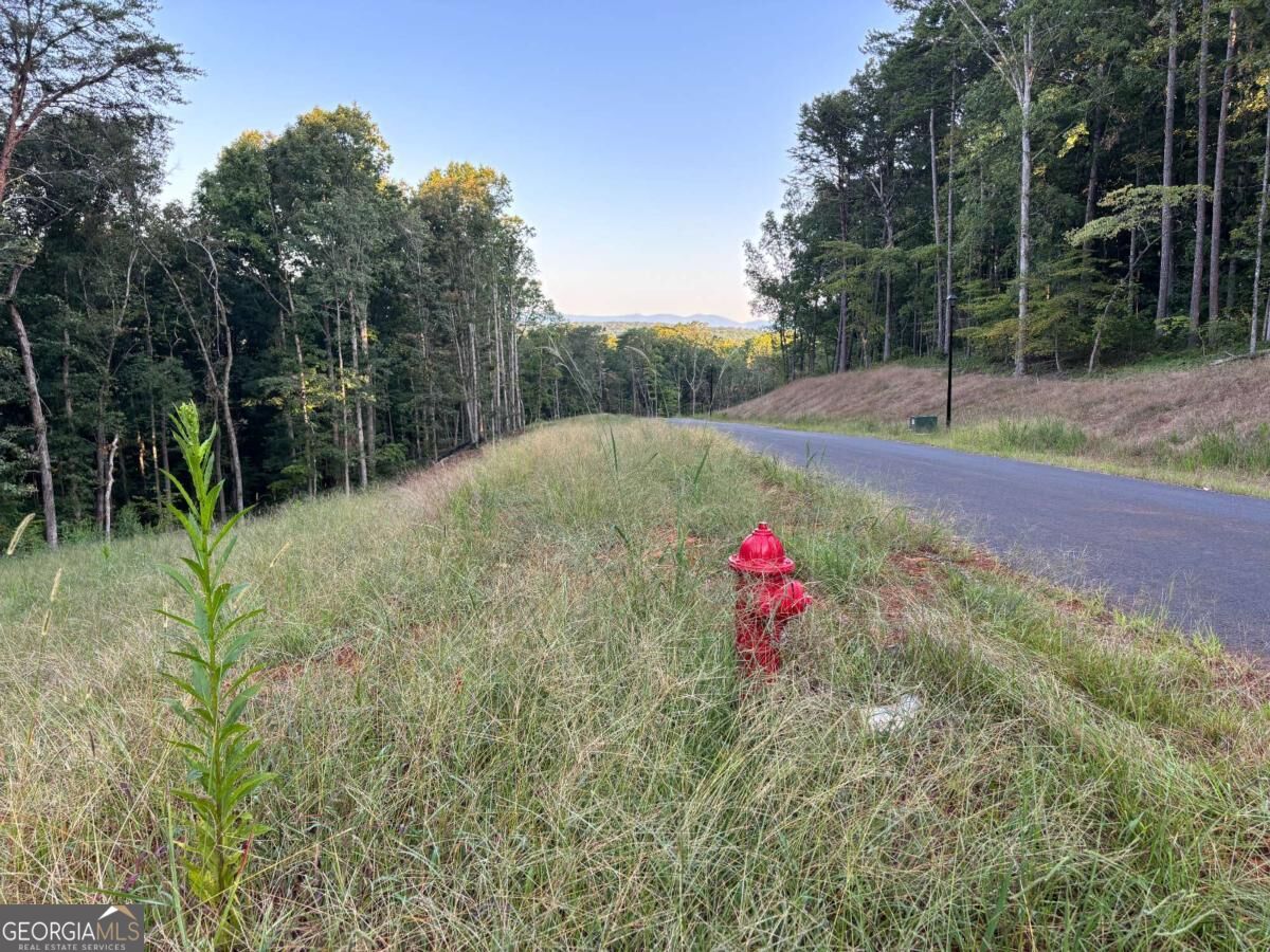 Lot 28 Norton Lane Property Photo 19