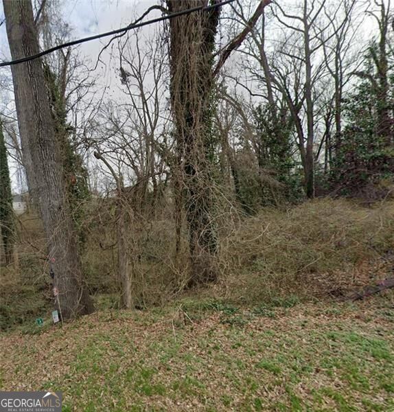 0 Lumpkin Street Property Photo 1