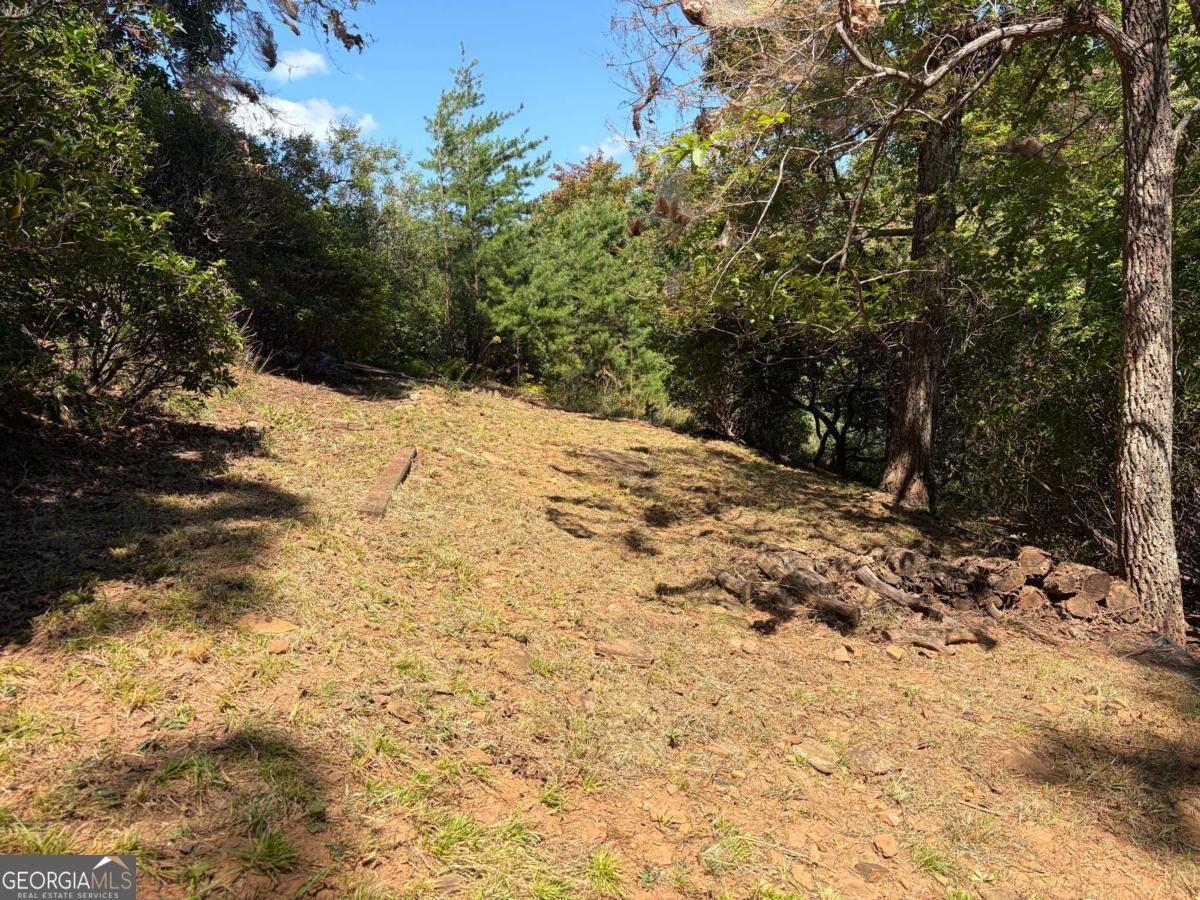 676 Alpine Drive Property Photo 37