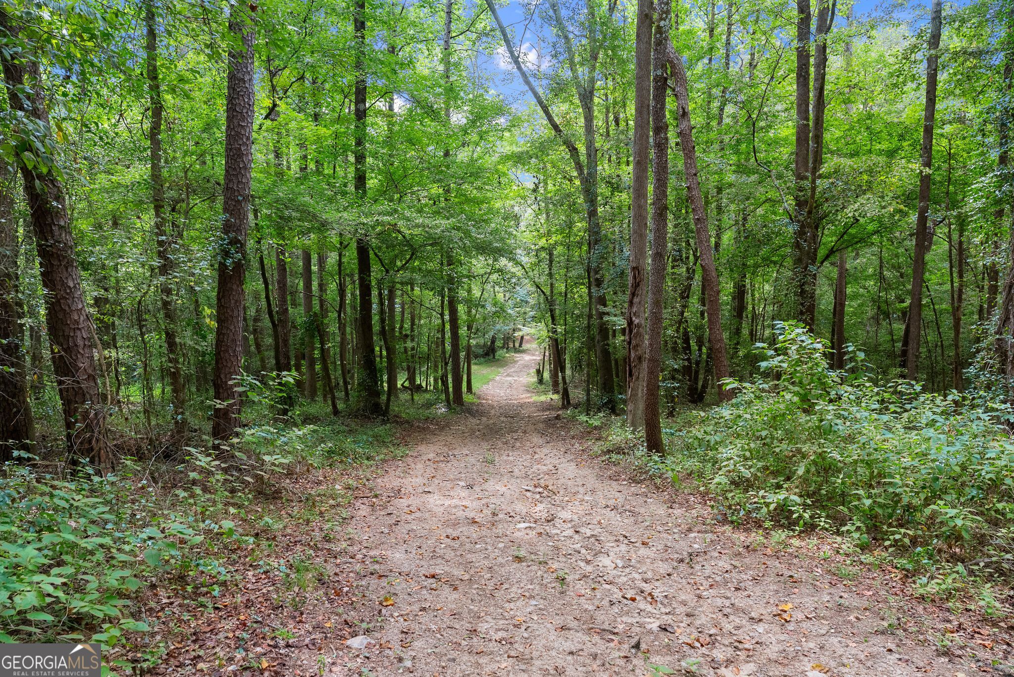 4290 Waterworks Road Property Photo 106