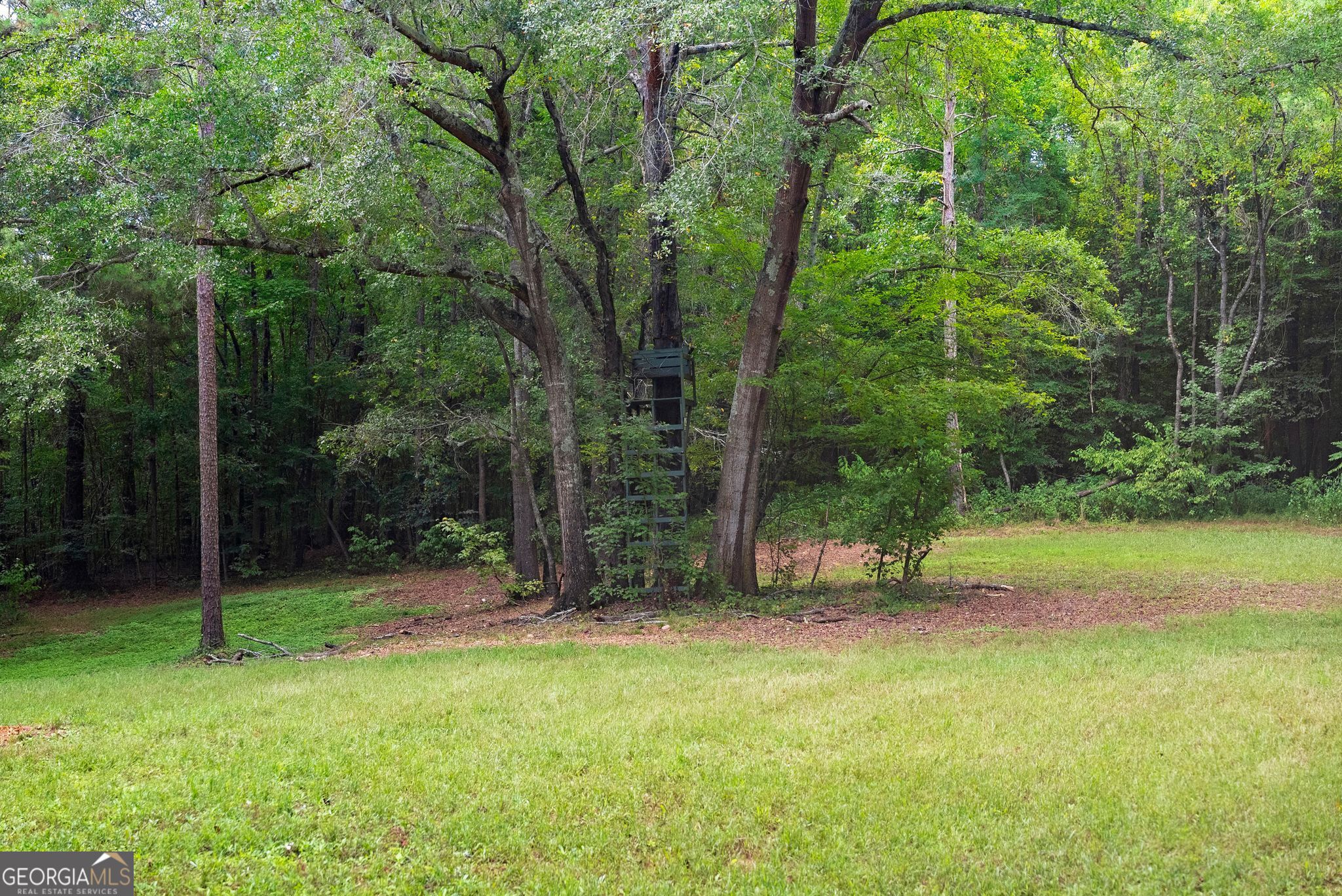 4290 Waterworks Road Property Photo 114