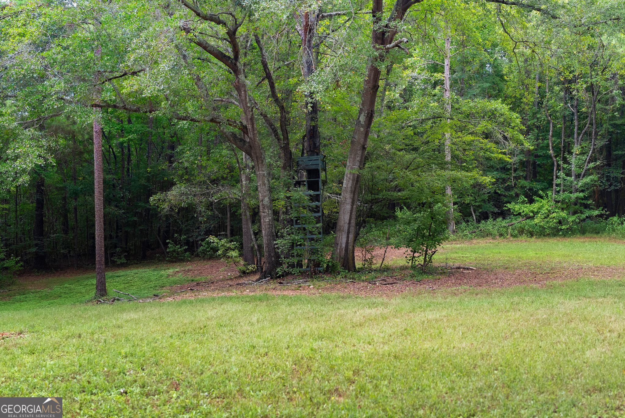 4290 Waterworks Road Property Photo 115