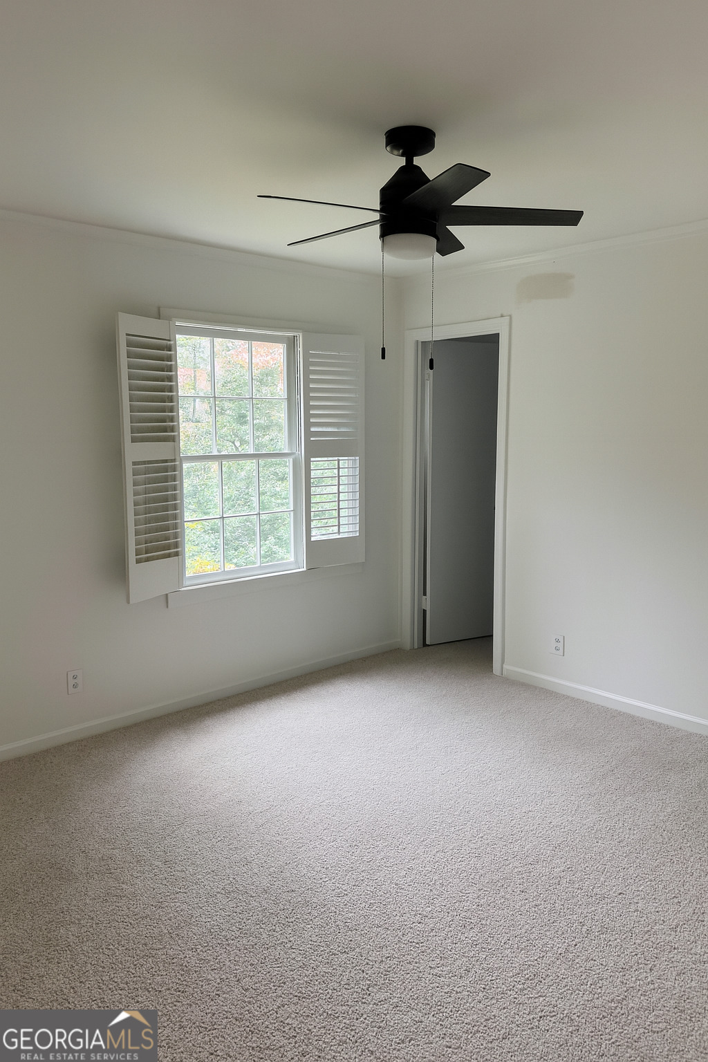 4269 Mercer Road Property Photo 19