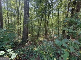 40 Crescent Drive Property Photo 2