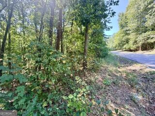 40 Crescent Drive Property Photo 3