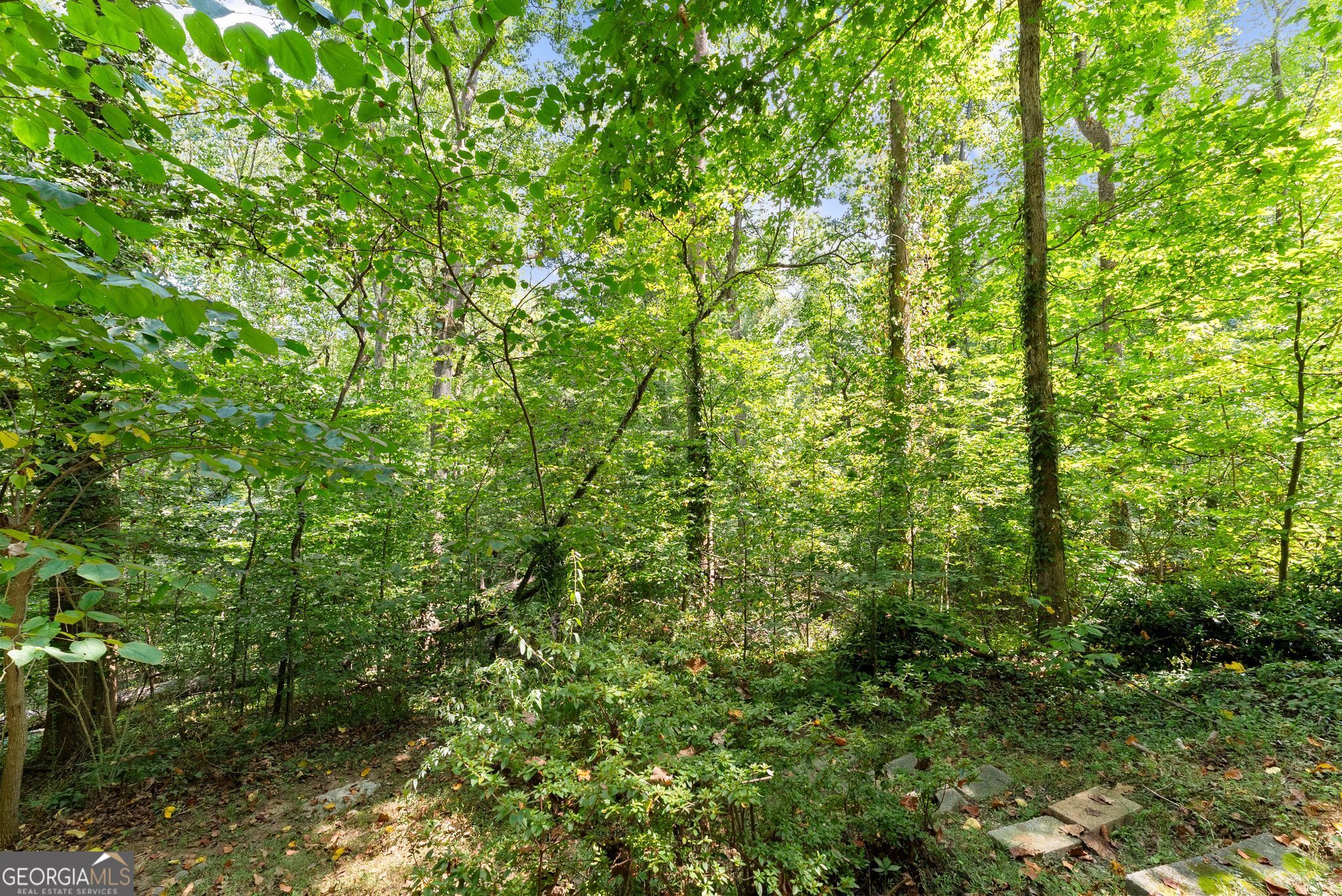 302 Normandy Trail Property Photo 23
