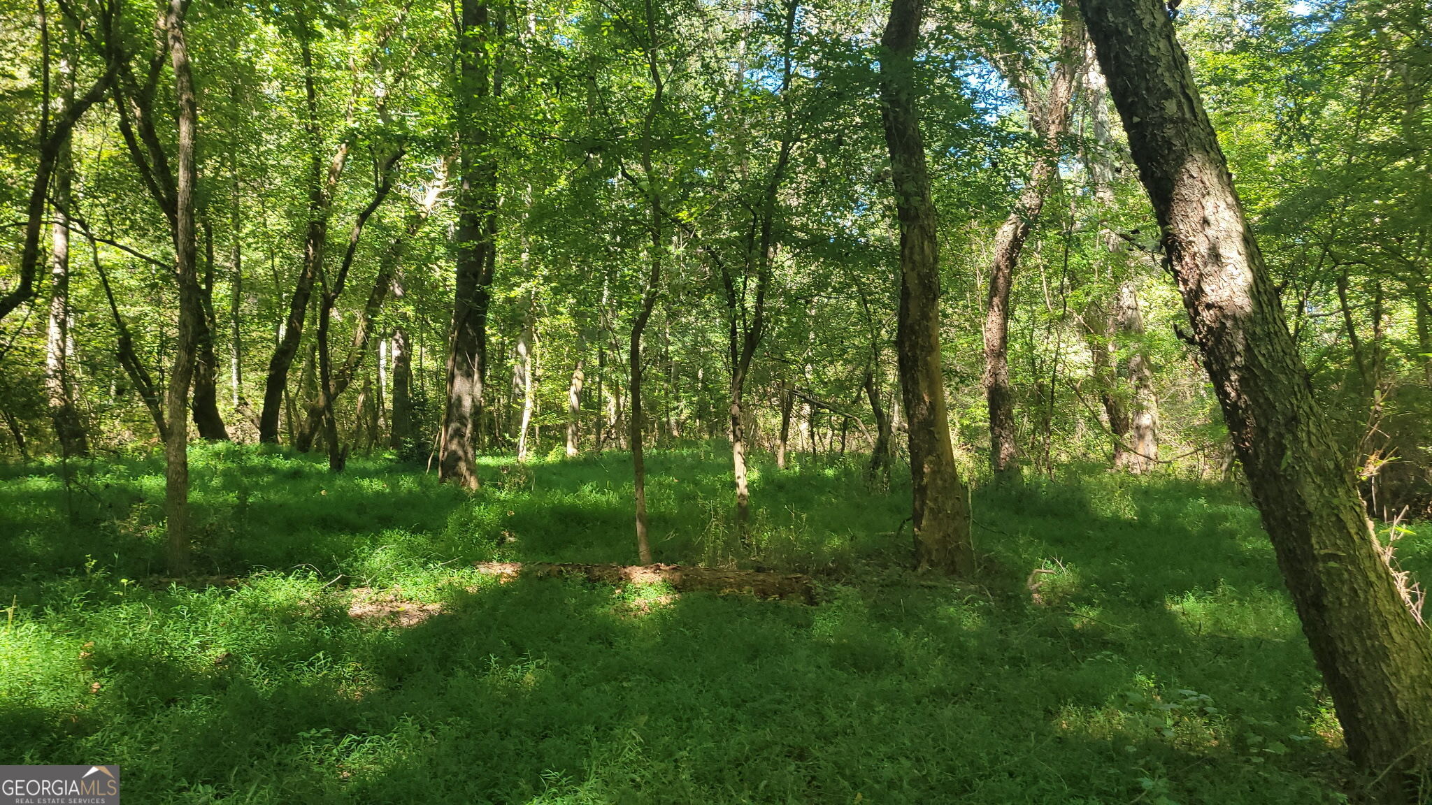 7075 Cascade Palmetto Highway Property Photo 2