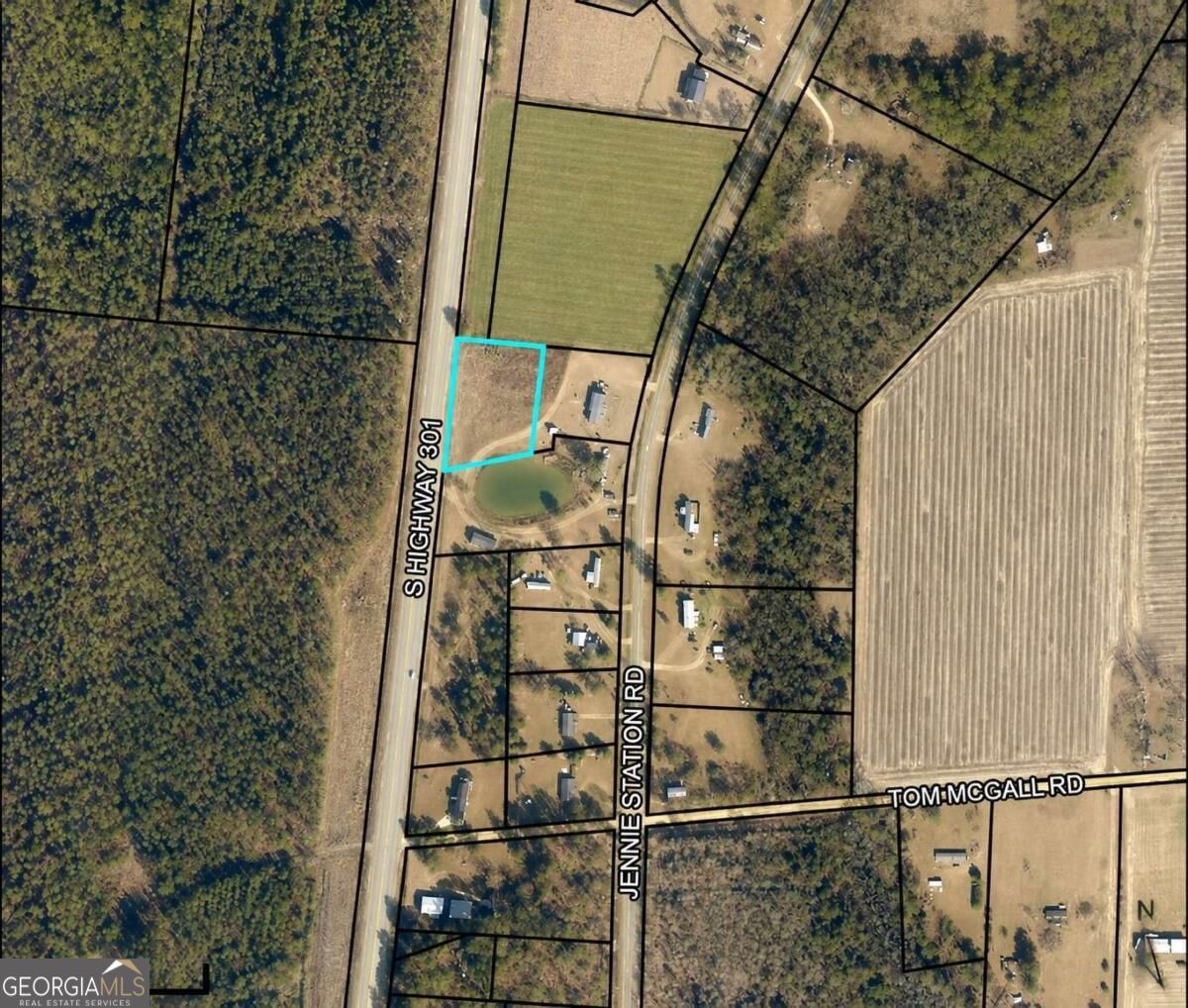 Lot 1 Us-301 Property Photo 2